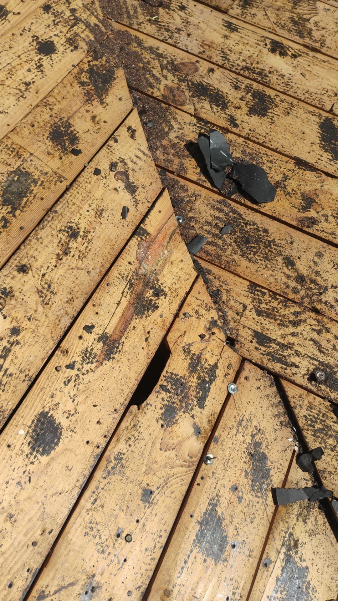Project in Seminole 33772 by Mitchell Roofing Company LLC 