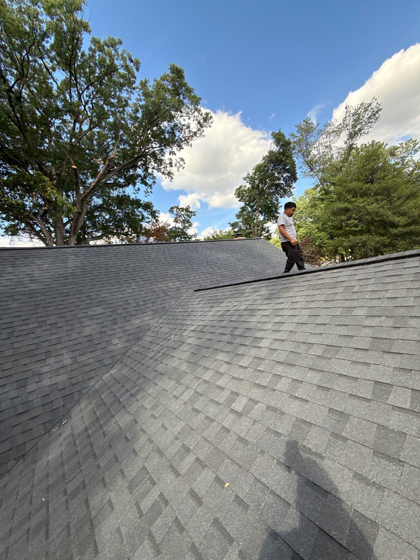 Falls Church: Residential Roof Replacement with CertainTeed Landmark in Moire Black  by RM Banning, Inc.