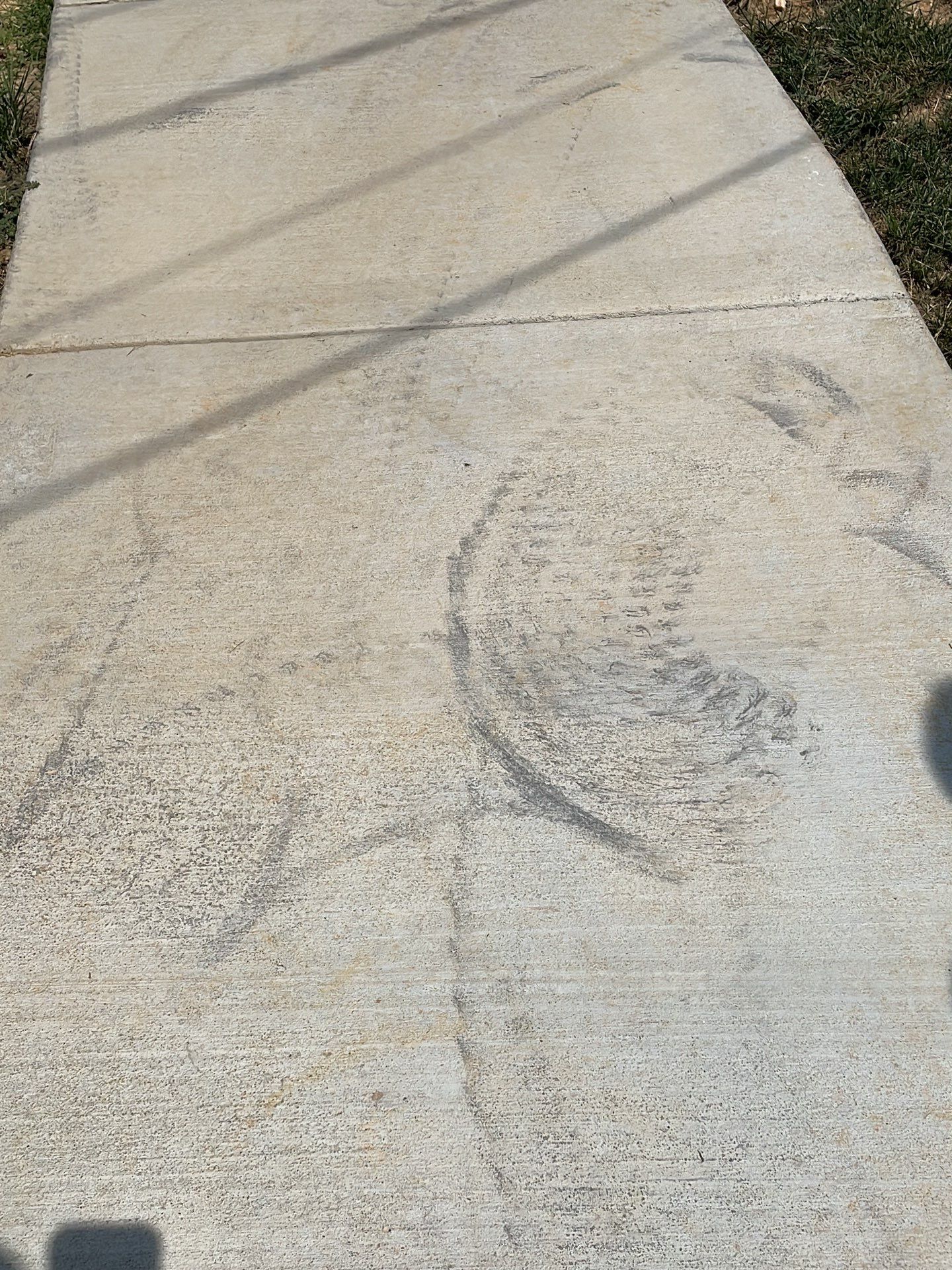 New walkway with stairs and a new front porch by Fairfax Contractors, LLC