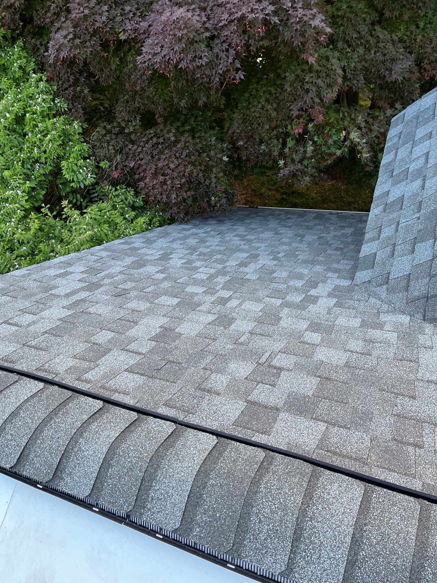 Falls Church: CertainTeed Landmark Pro Designer Shingles in Max Def Pewter by RM Banning, Inc.