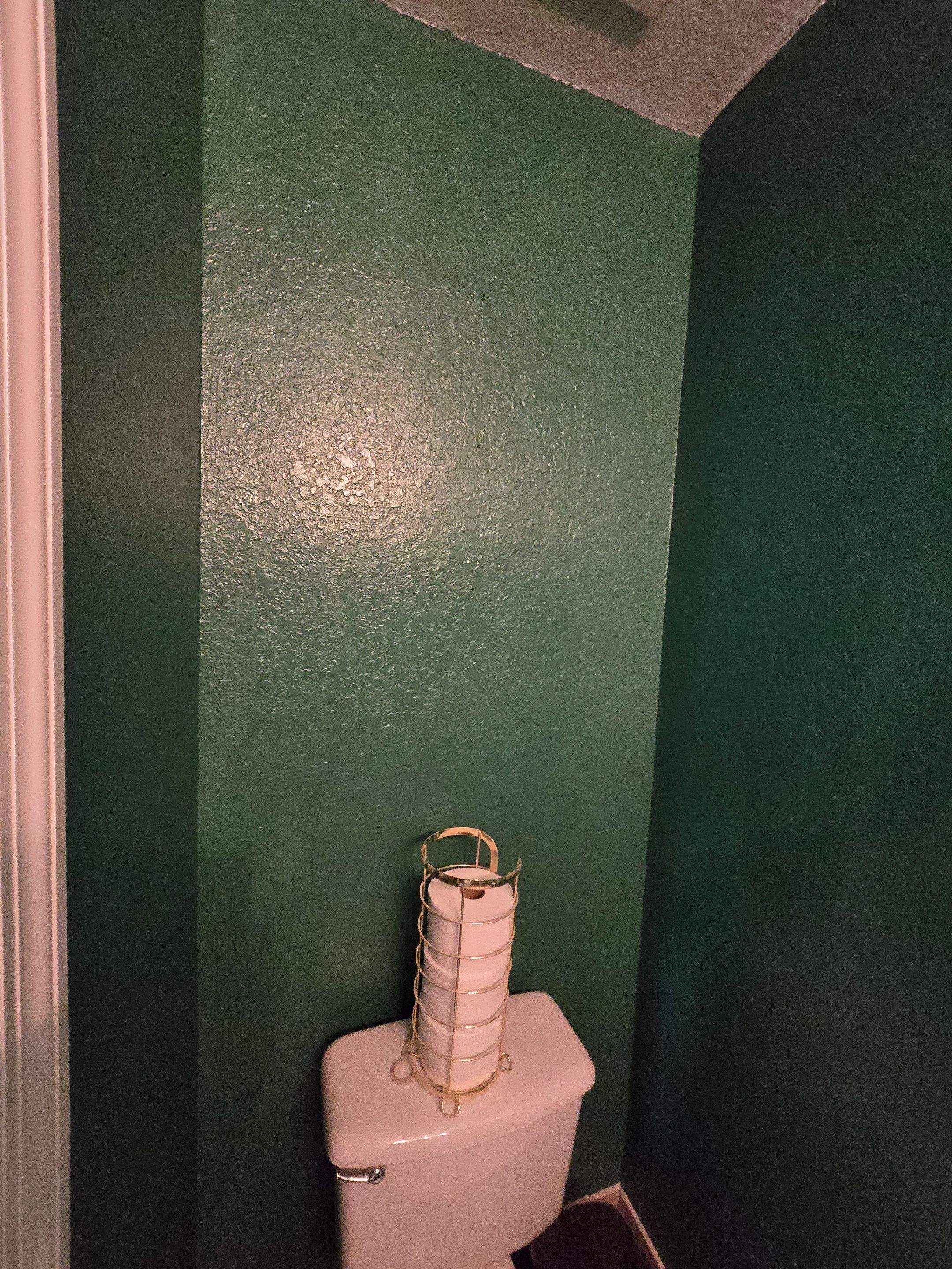 Project in Tampa
