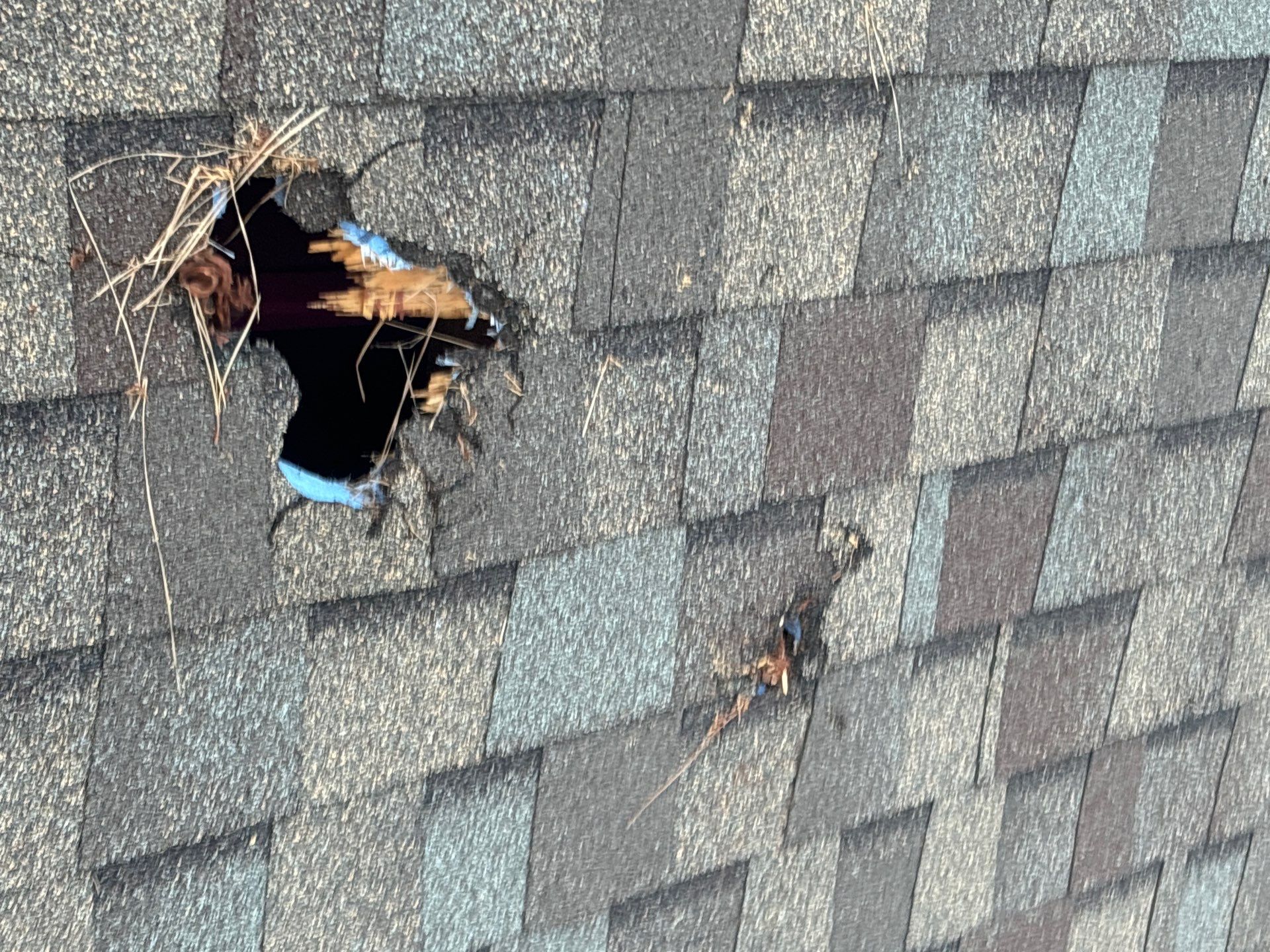 Roof Repair Spring by Roof Repair Company
