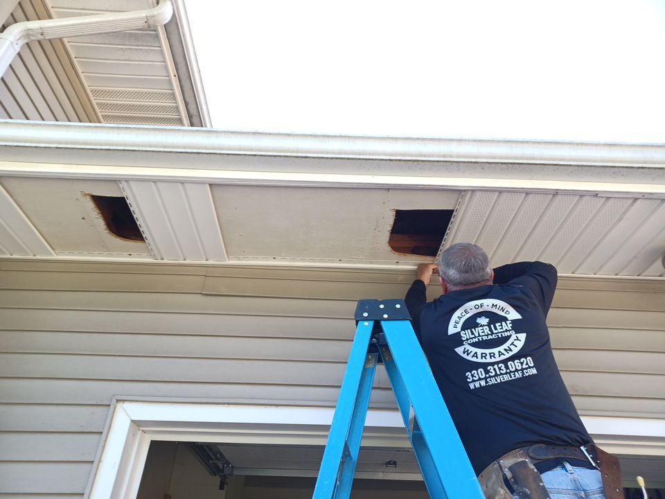 Joe Seckman by Silver Leaf Contracting 