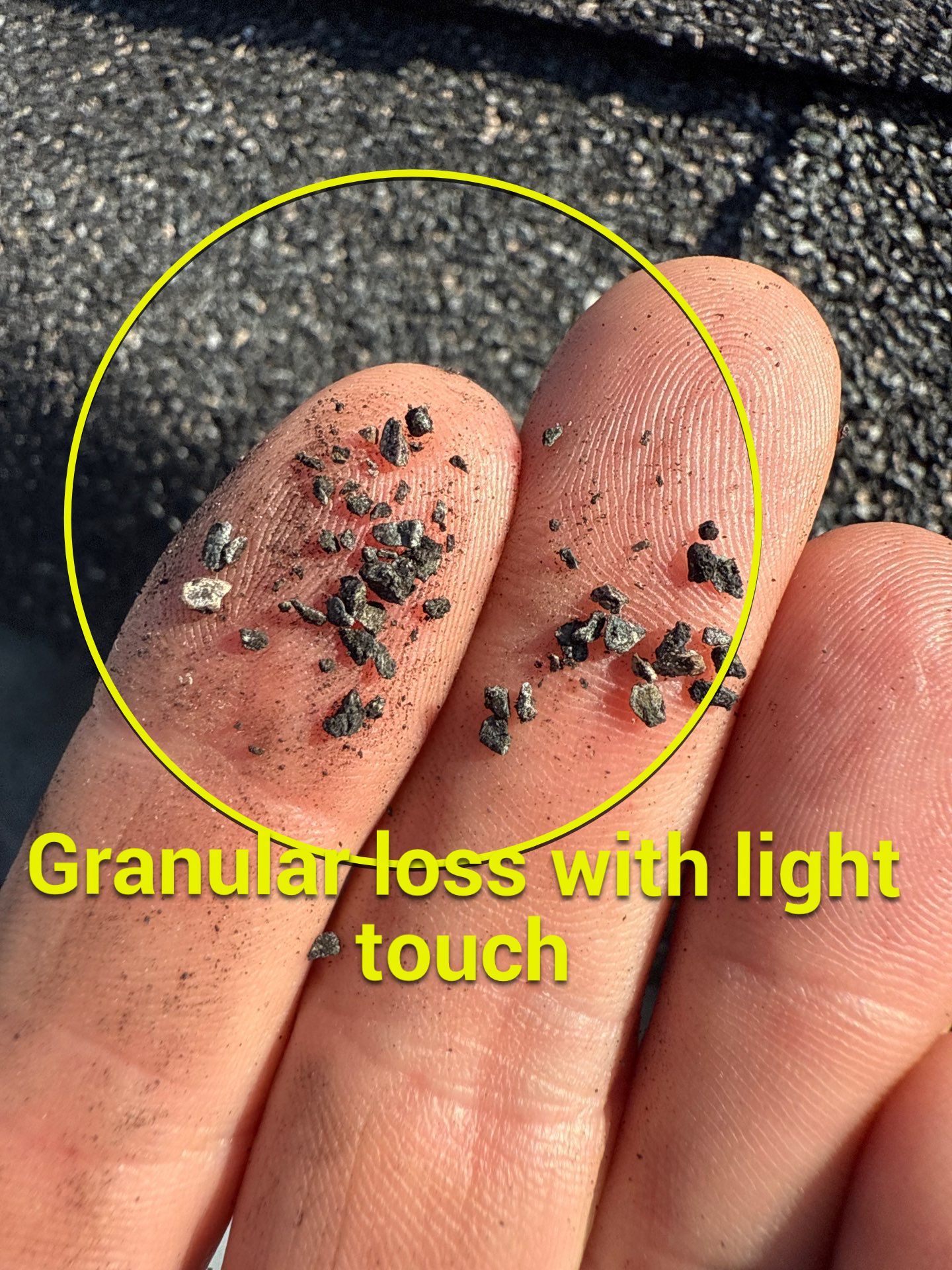 Project in Petersburg by Roof Maxx of Midlothian