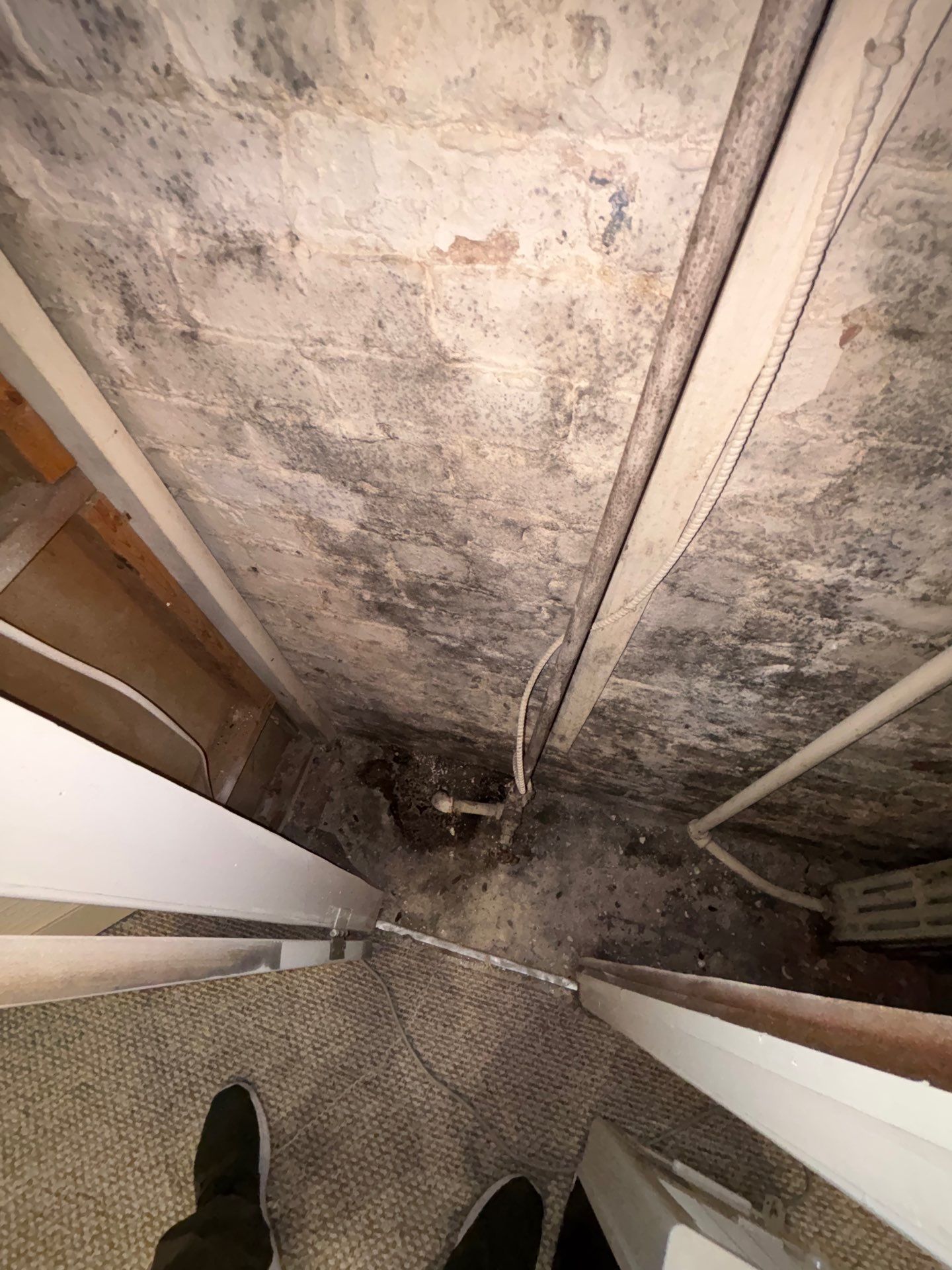 Project in Washington,DC by Greenspring Construction Services