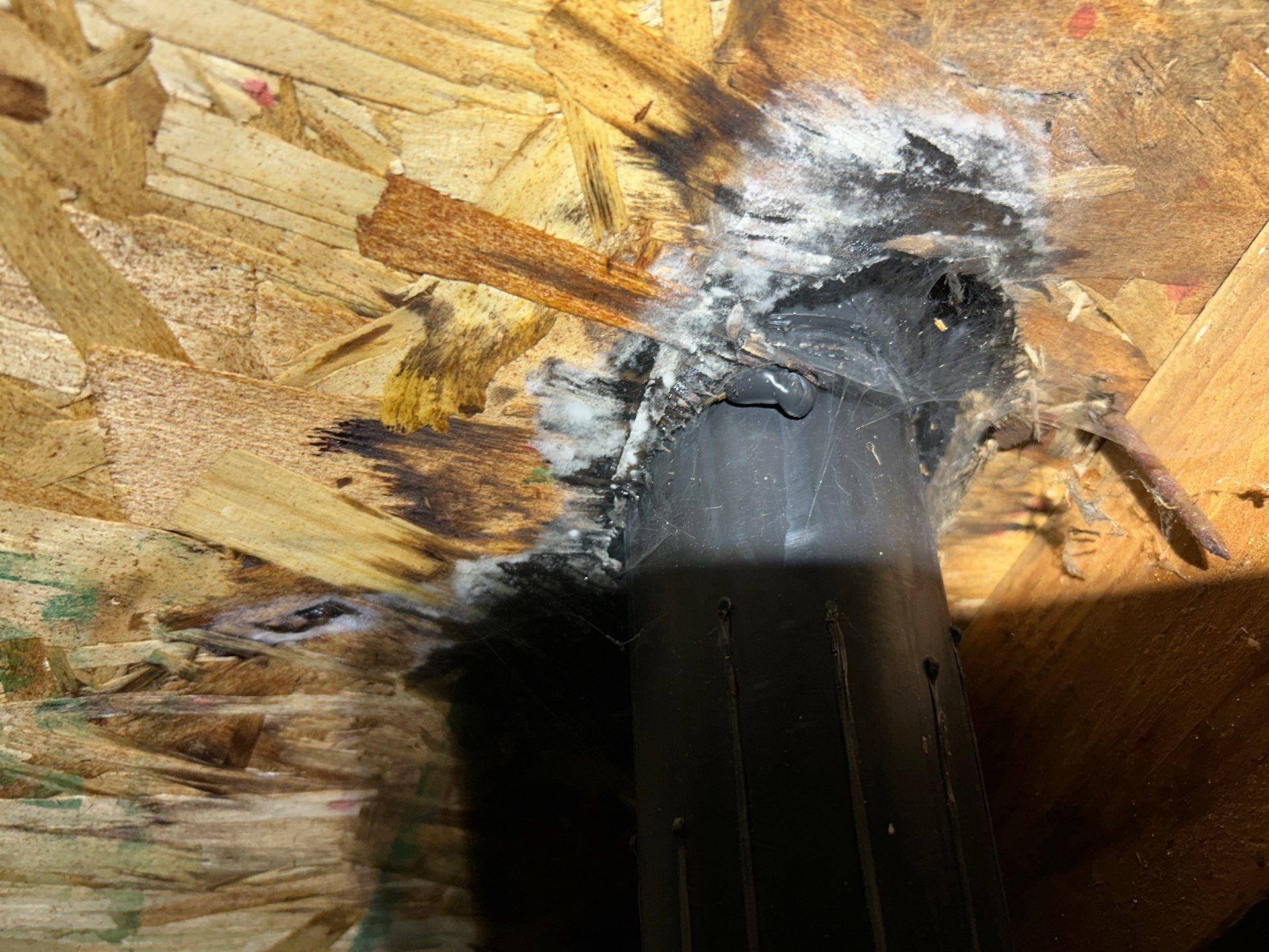 Emergency Leak Repair in Portland by Prodigy Roof Solutions