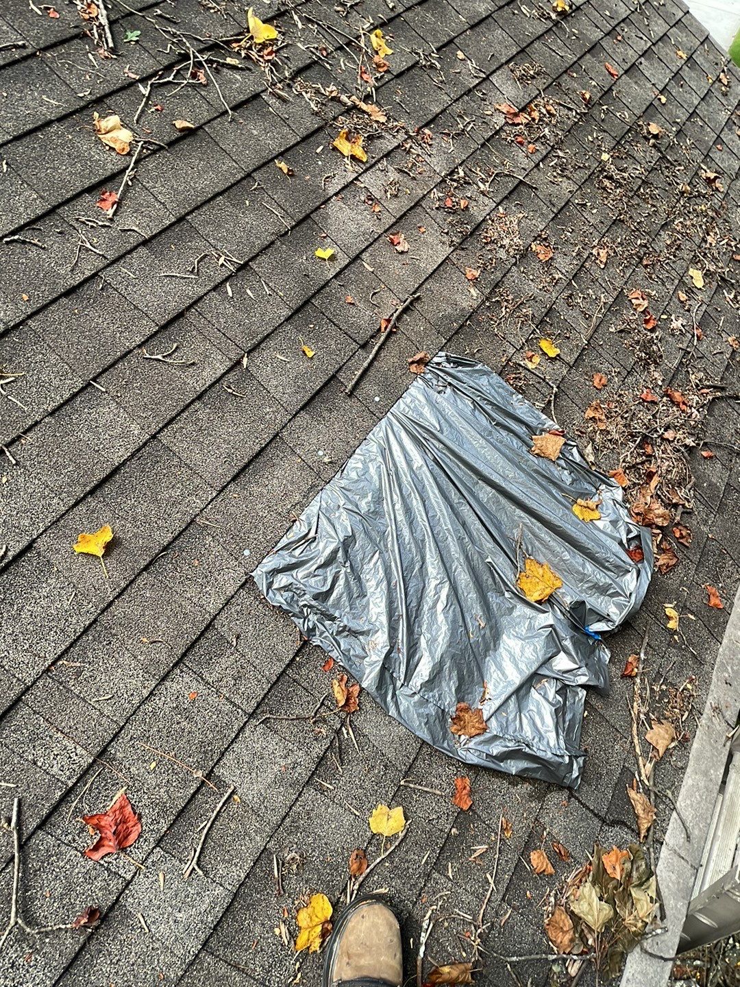 Precision Repair by Georgia Roof Advisors