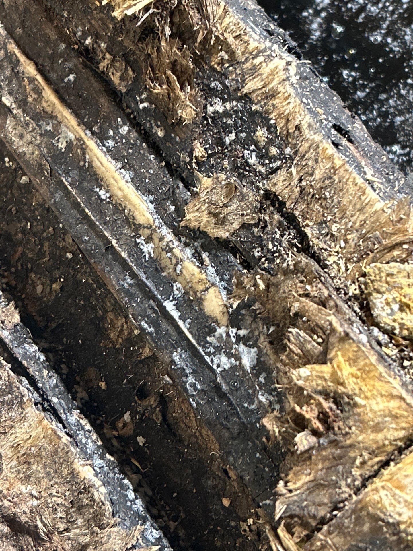 Water Damage Restoration by Accountable Home Services