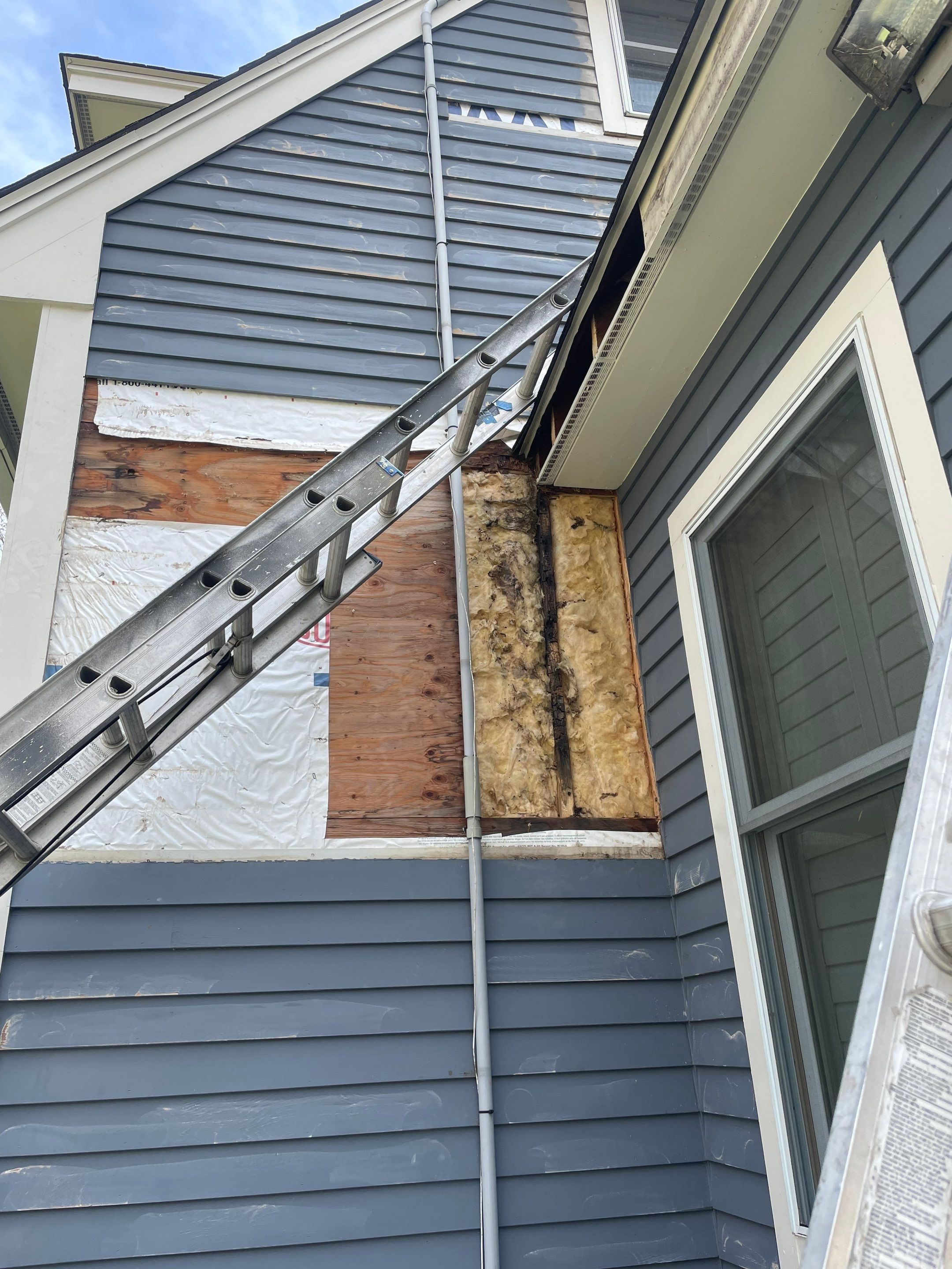 Exterior Painting & Carpentry Repairs by EXCELLENCE | CARTO