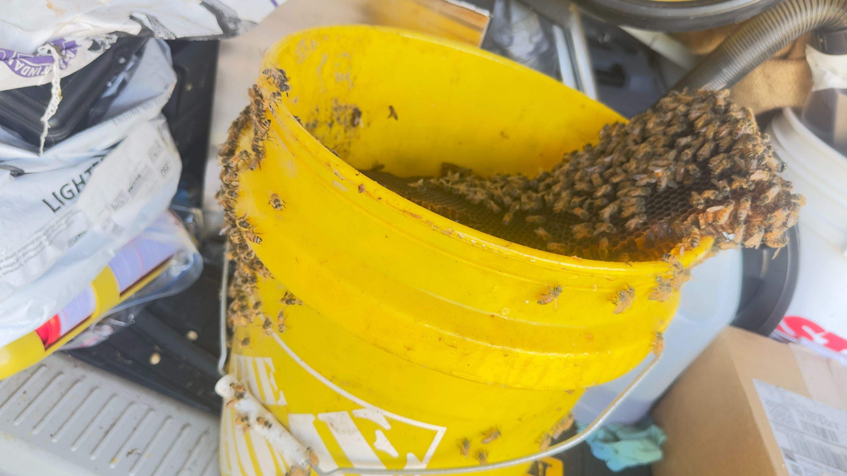 Old Faithful by Rockwall Honey Bee Company