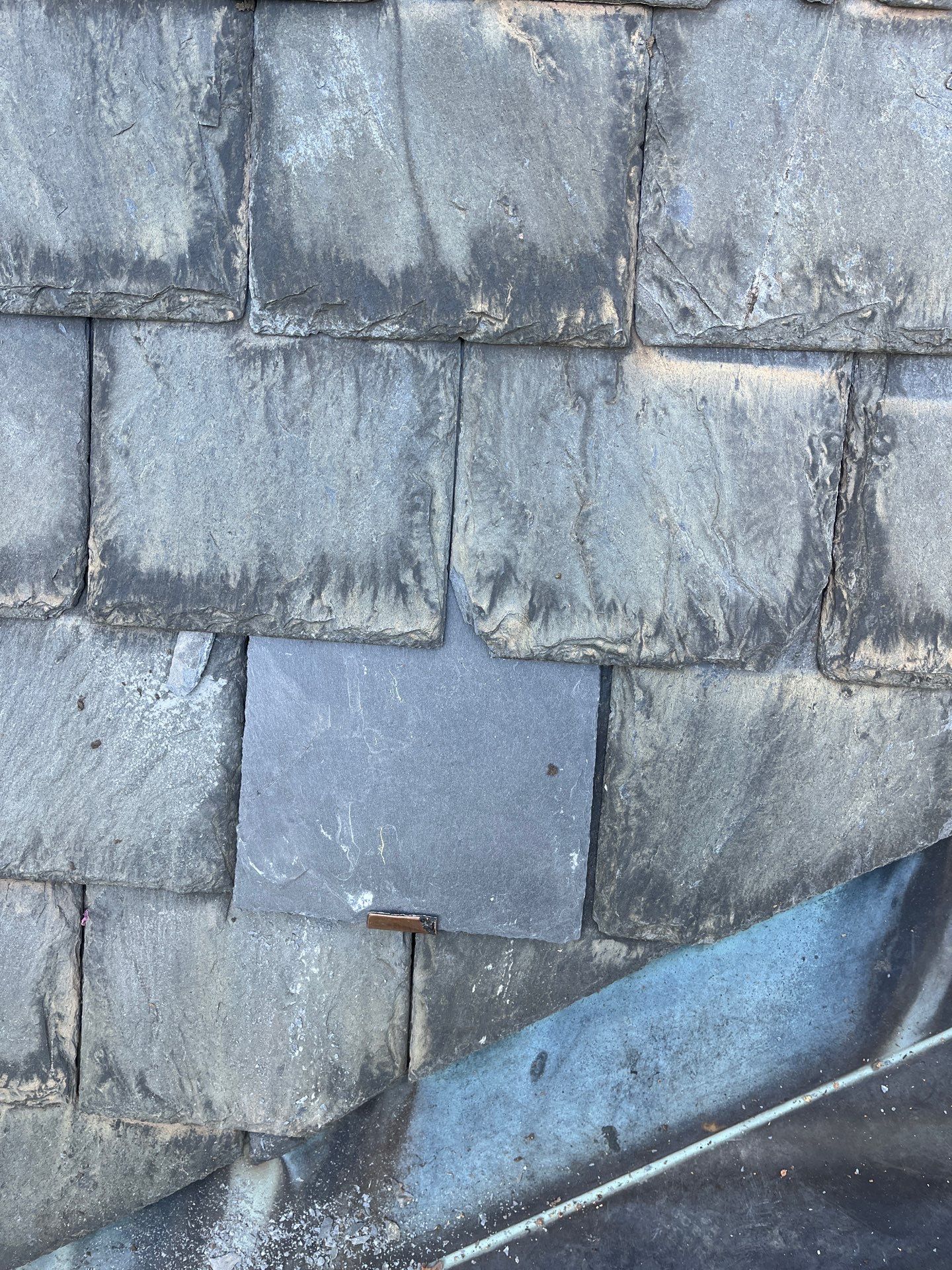 Arlington: Buckingham Slate and Carlisle Syntec TPO Roof by RM Banning, Inc.