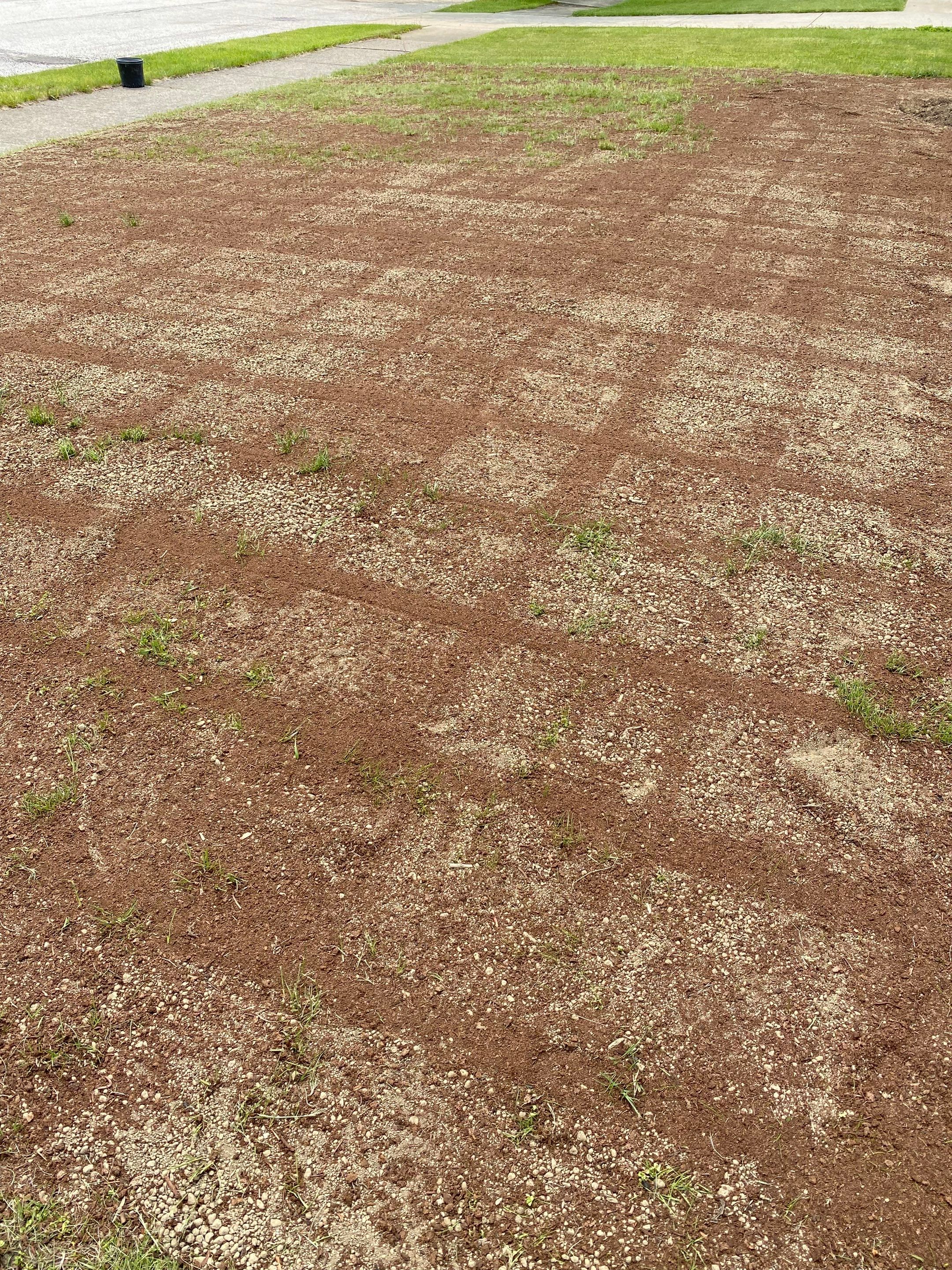 American Lawn Repair by Elm Rose Gardens