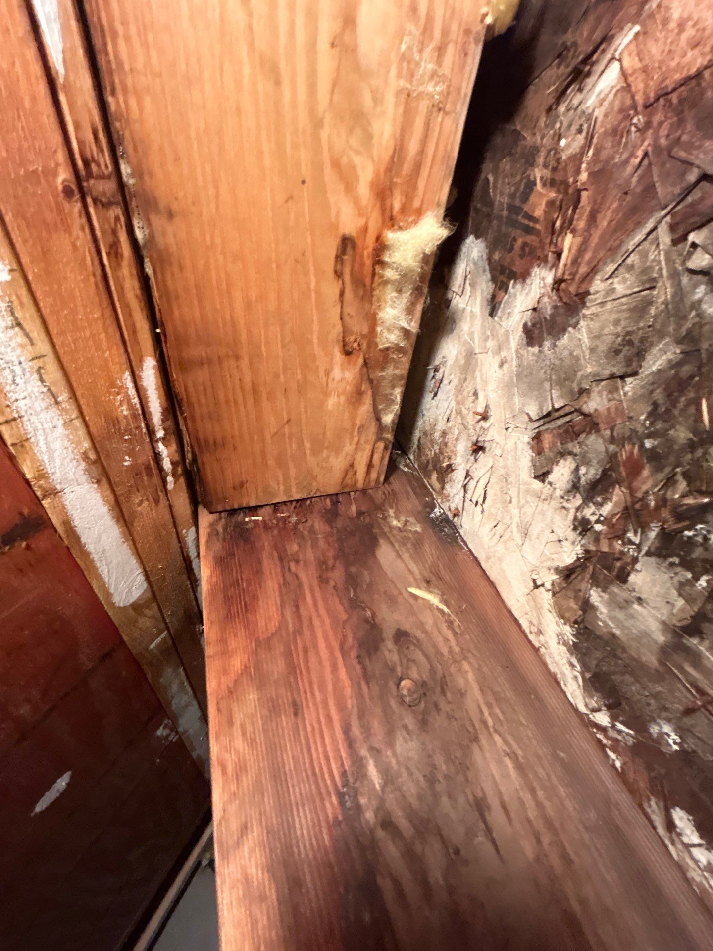 Water Damage Restoration by Accountable Home Services