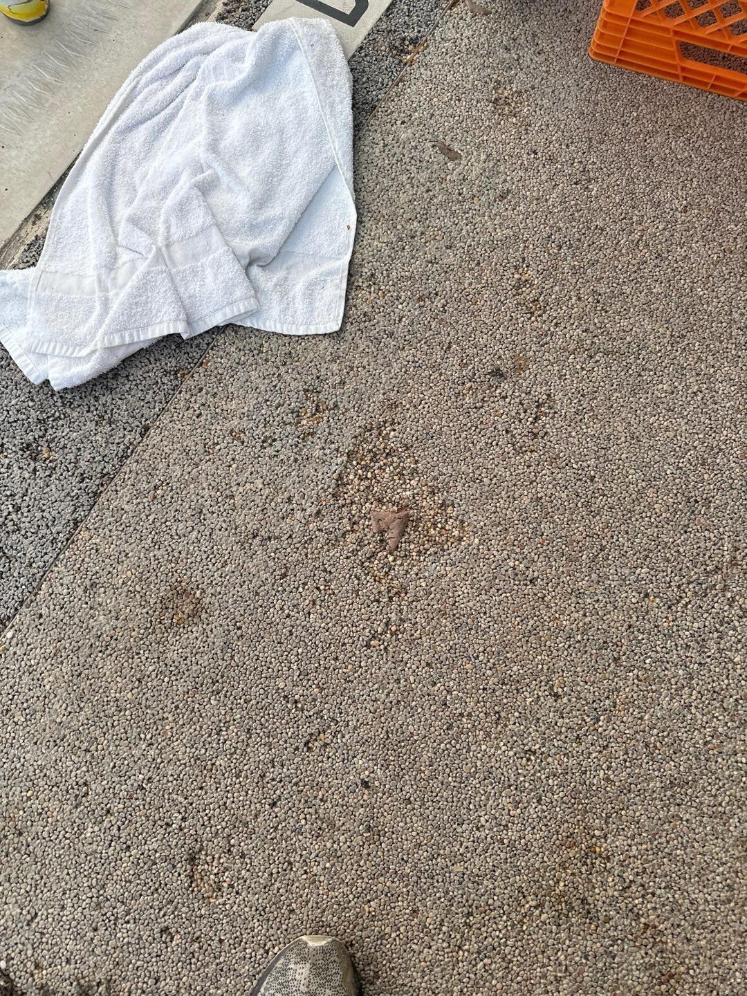 Hotel Pool Deck Project in Cranberry Township by Floors in a Day, Inc