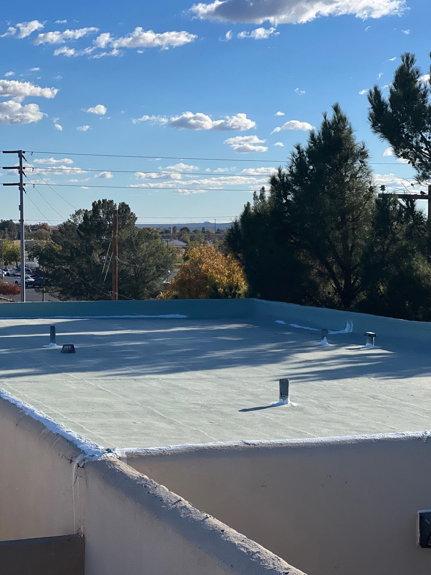 Las Palmas Apartments by SPF Services 