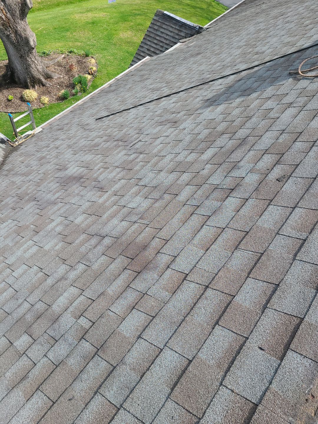 Burke: CertainTeed Landmark Pro Designer Shingles in Max Def Weathered Wood by RM Banning, Inc.