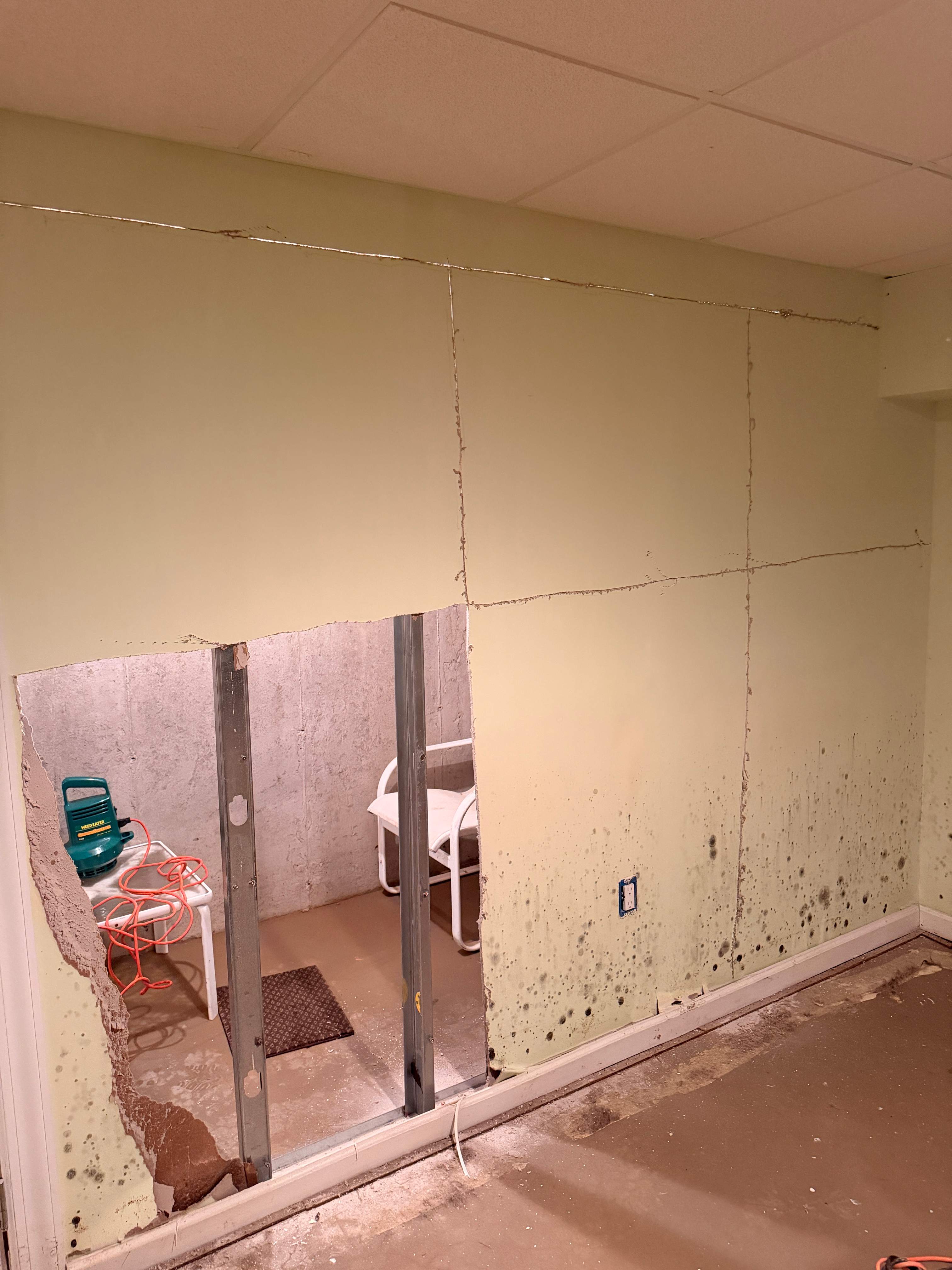 Water Damage / Mold Damage by Newhouse Restoration