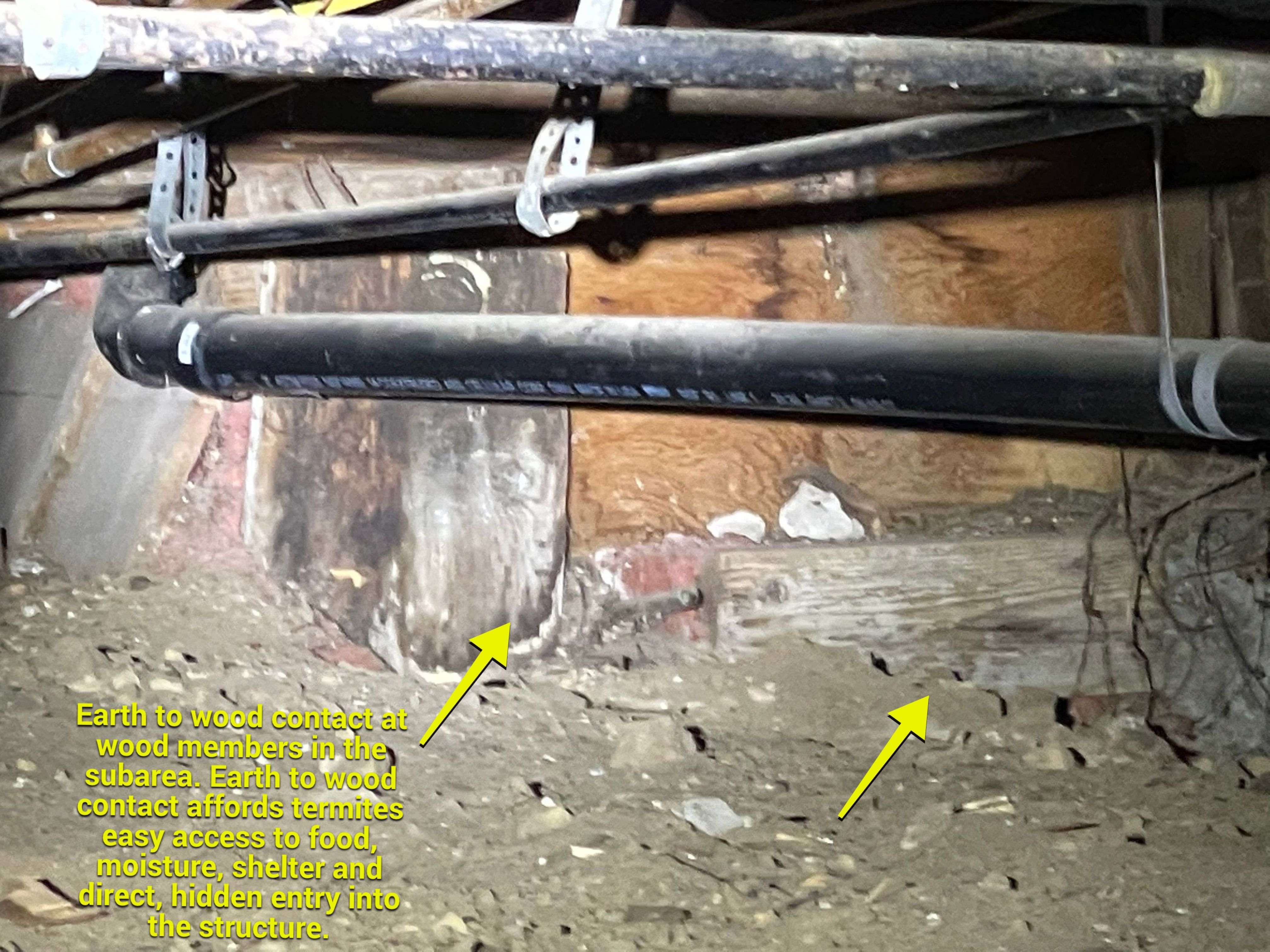 Wood Destroying Organisms Report by GLOBAL Termite Solutions