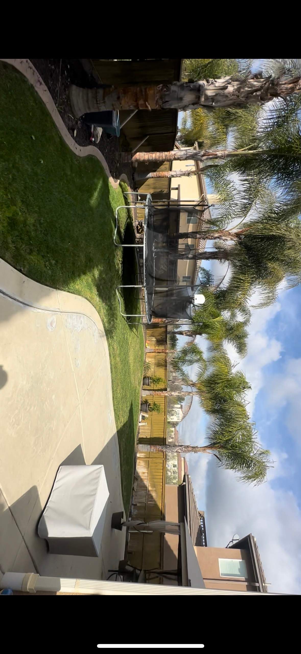 Freeform pool and spa by Premier Pools and Spas Temecula