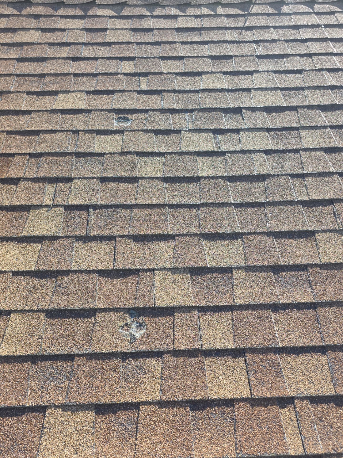 Roof Rejuvenation using Roof Maxx Treatment by Roof Maxx of Folsom