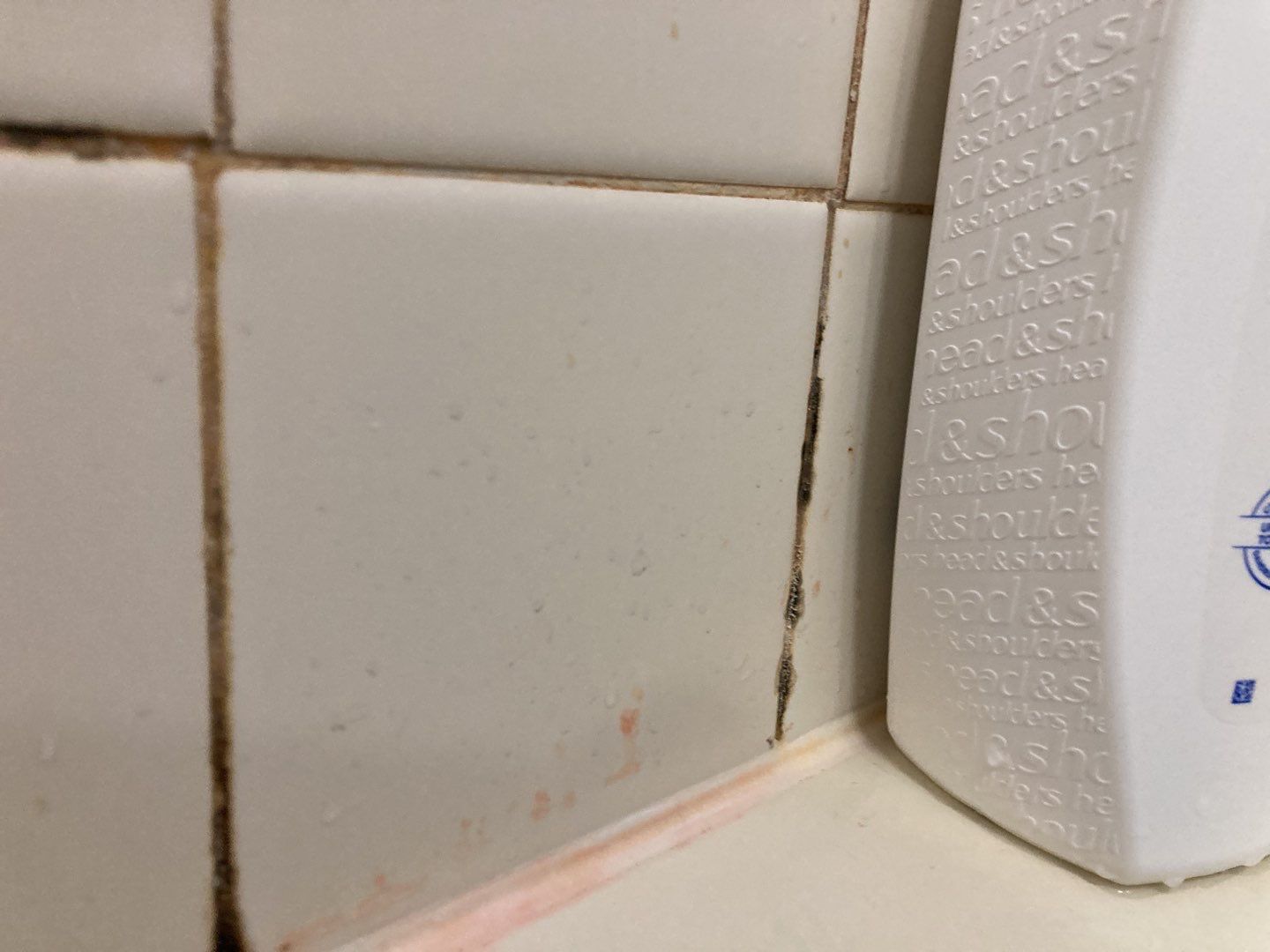 Water Damage in Bathroom by Accountable Home Services