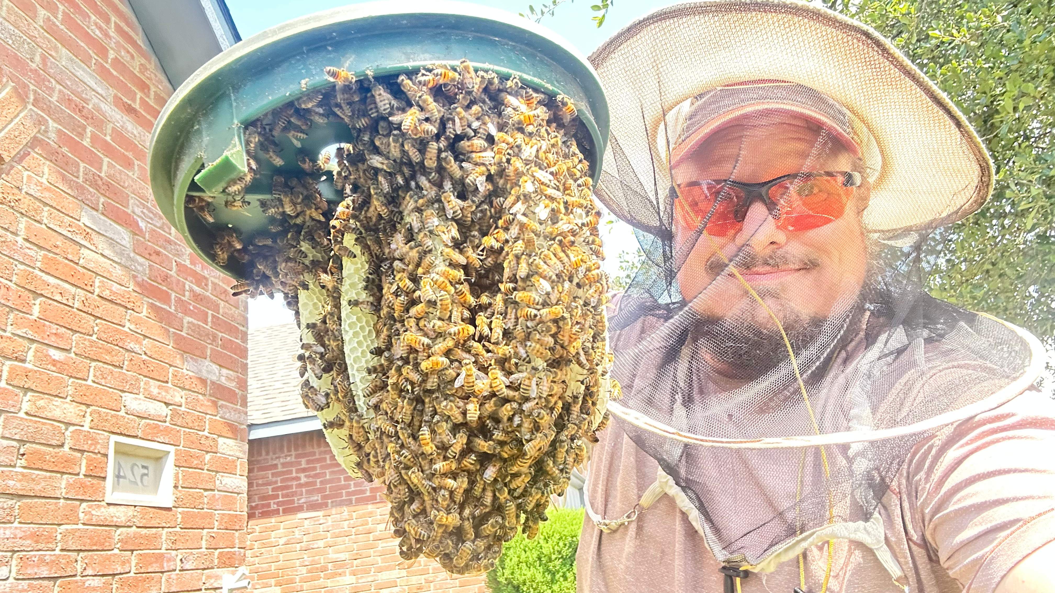 Irrigation Box by Rockwall Honey Bee Company