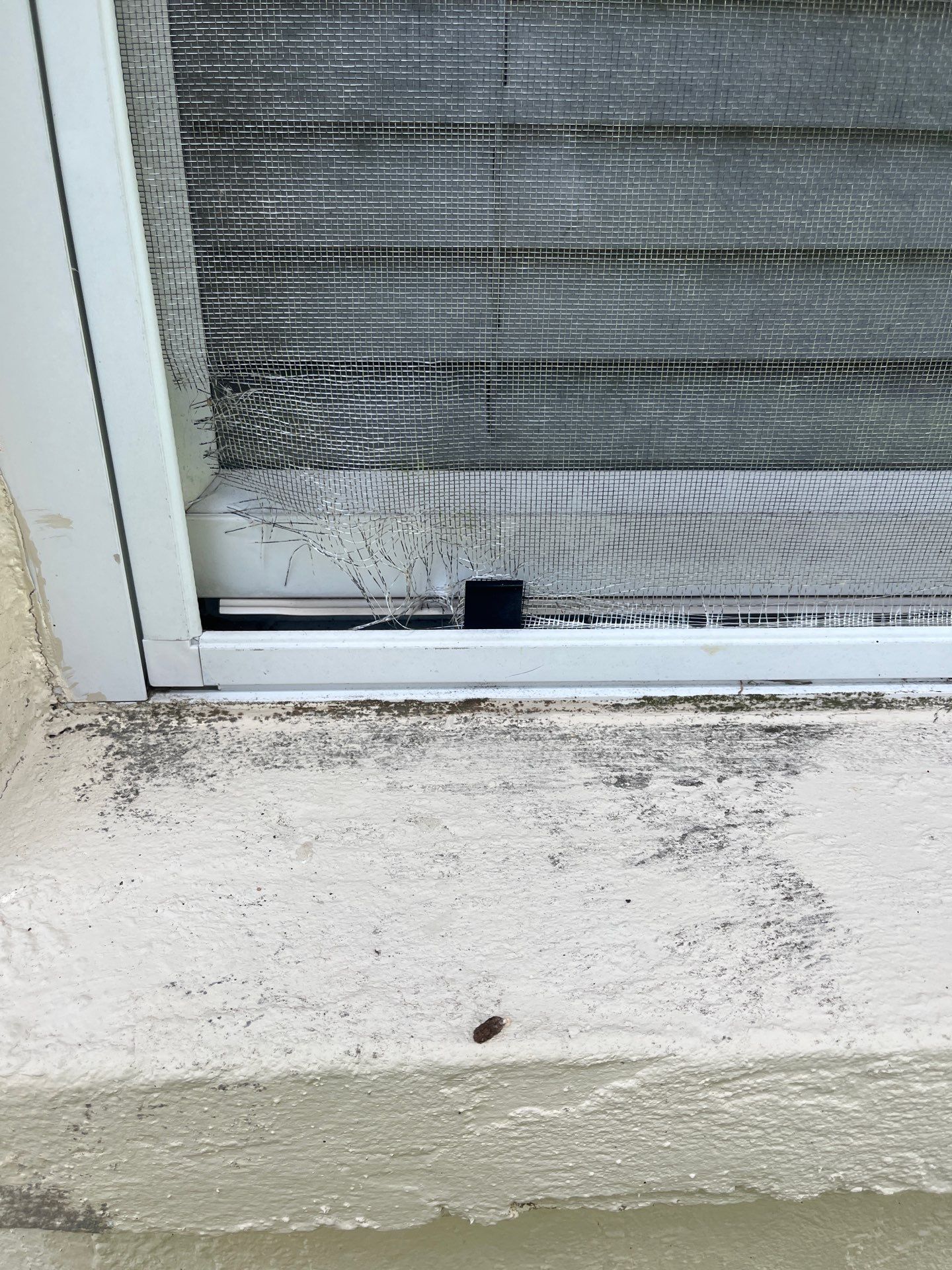 CoolWall Exterior Coating in Lakewood Ranch by Sunbelt Home Solutions