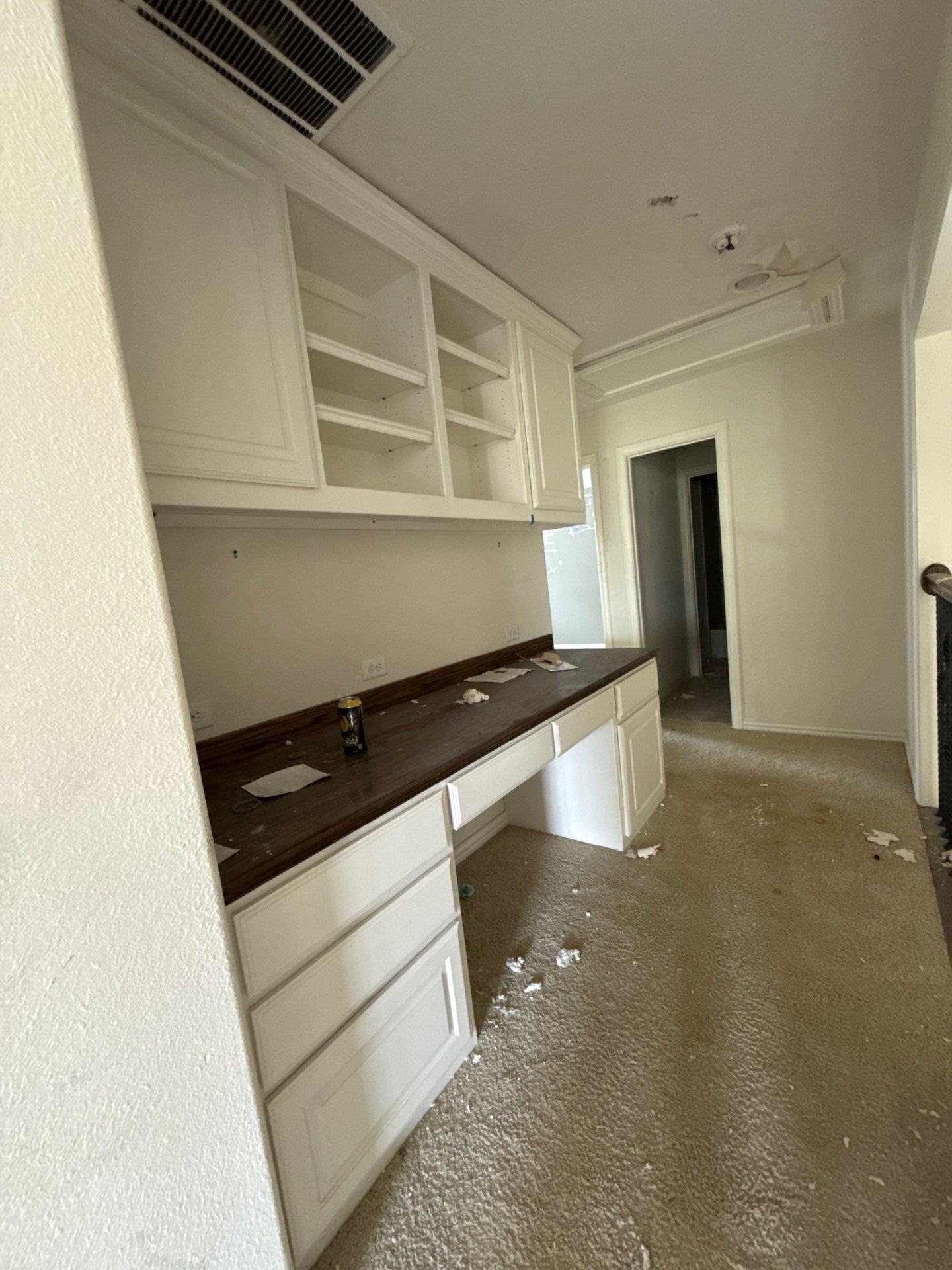 Custom House in Frisco by Nomad Painting