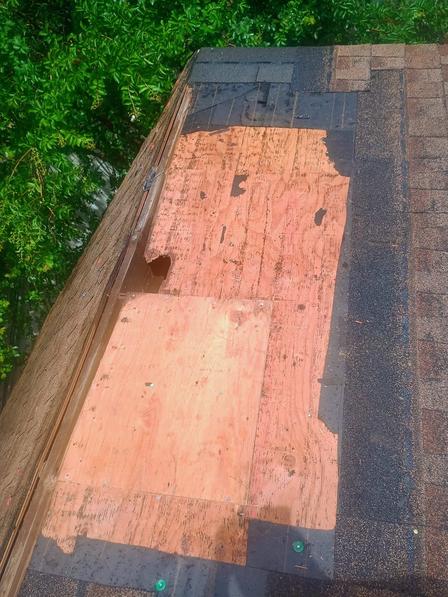 Roof Repair Spring by Roof Repair Company