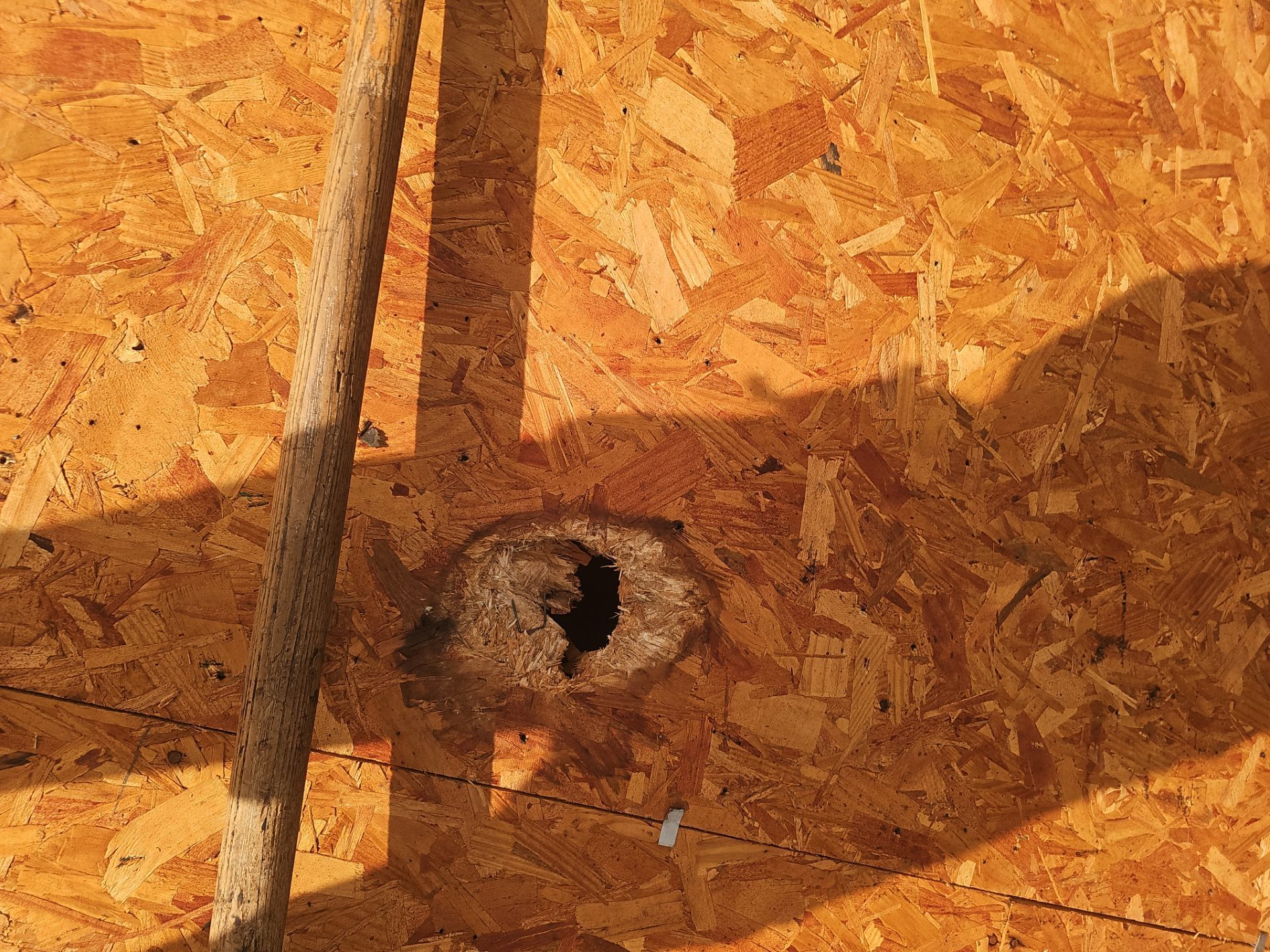 Project in Tampa 33625 by Mitchell Roofing Company LLC