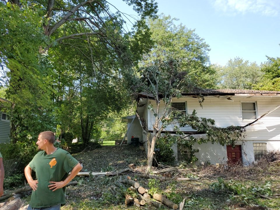 Storm Damaged Tree Removal  by Mike Jones & Sons Tree Service LLC 