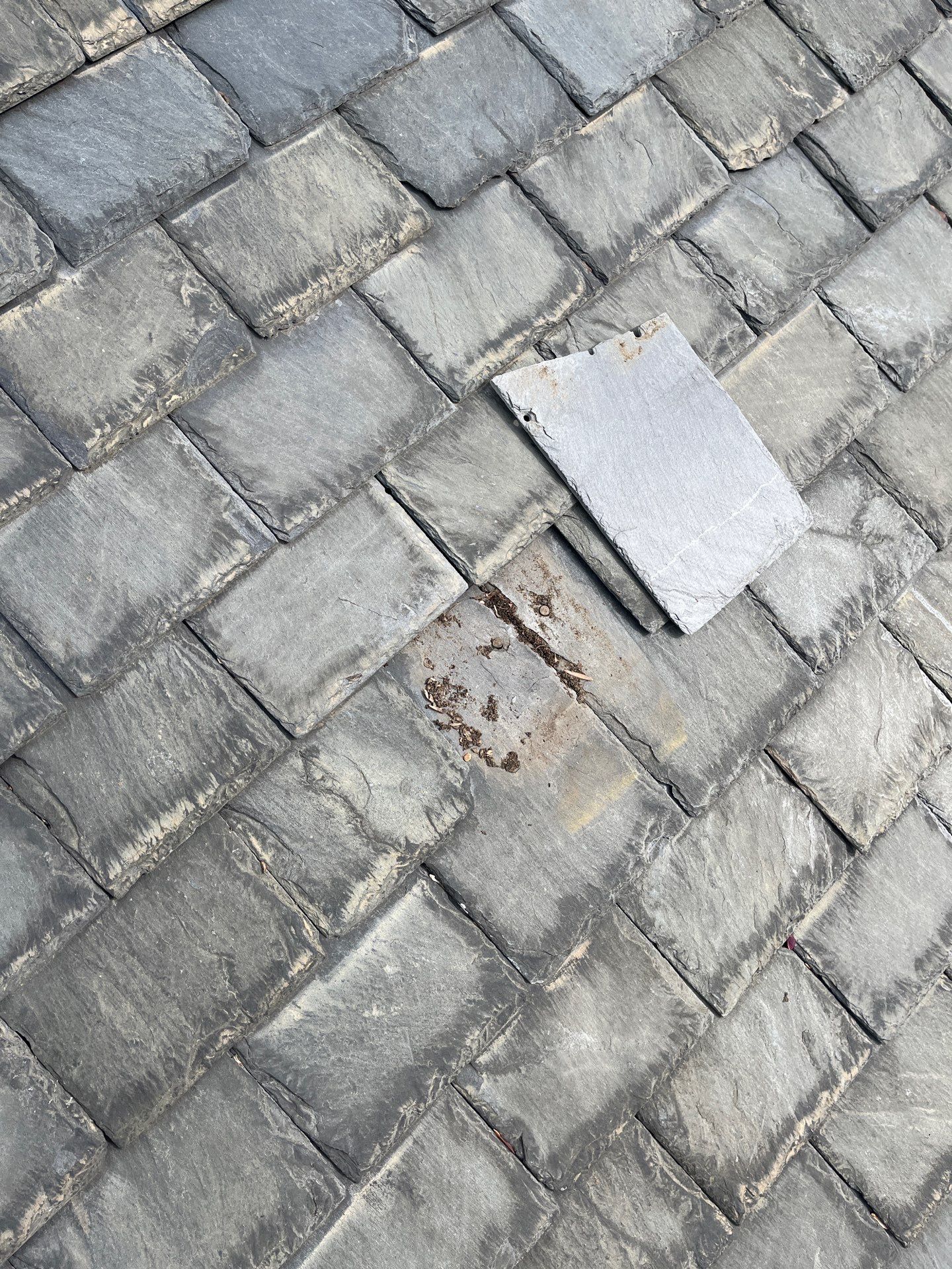 Arlington: Buckingham Slate and Carlisle Syntec TPO Roof by RM Banning, Inc.