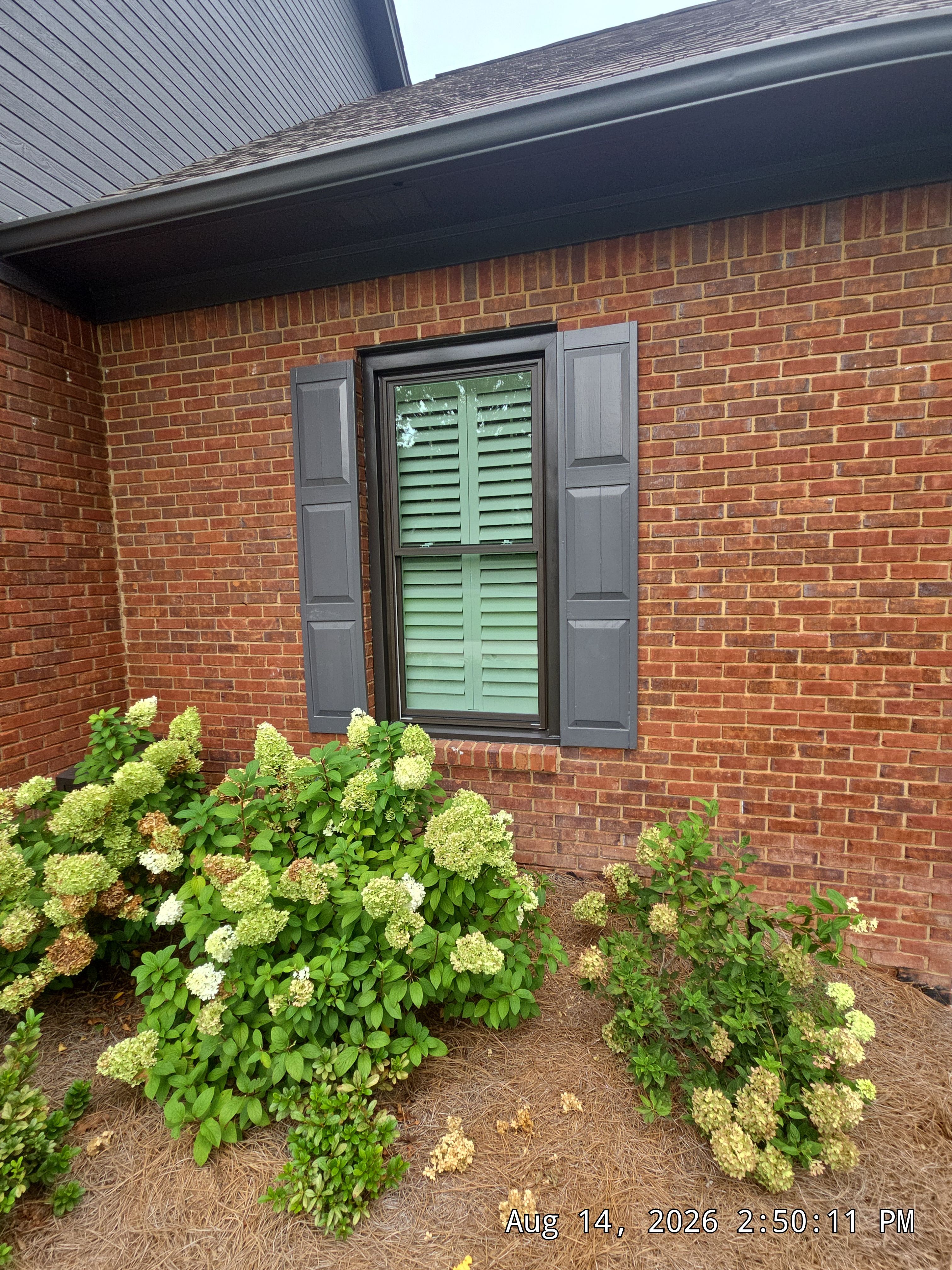 Maxcy Project in Hoover by The Window Source