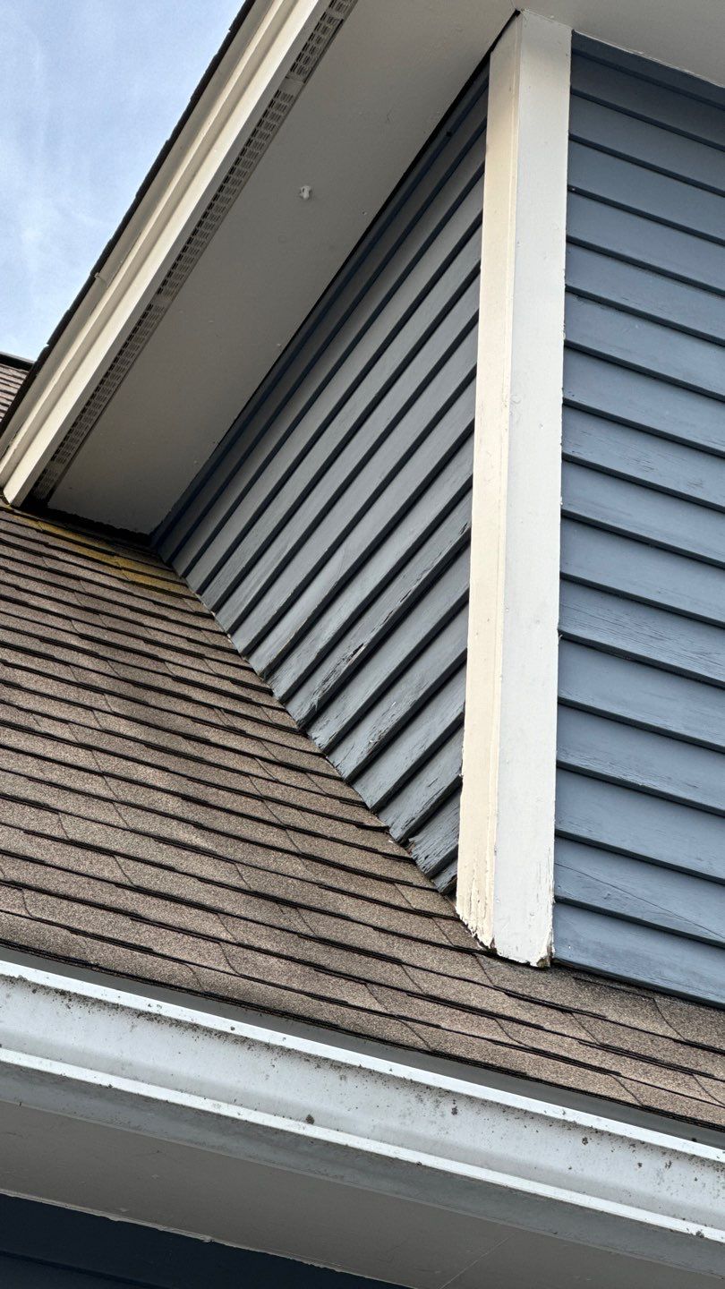 Exterior Painting & Carpentry Repairs by EXCELLENCE | CARTO