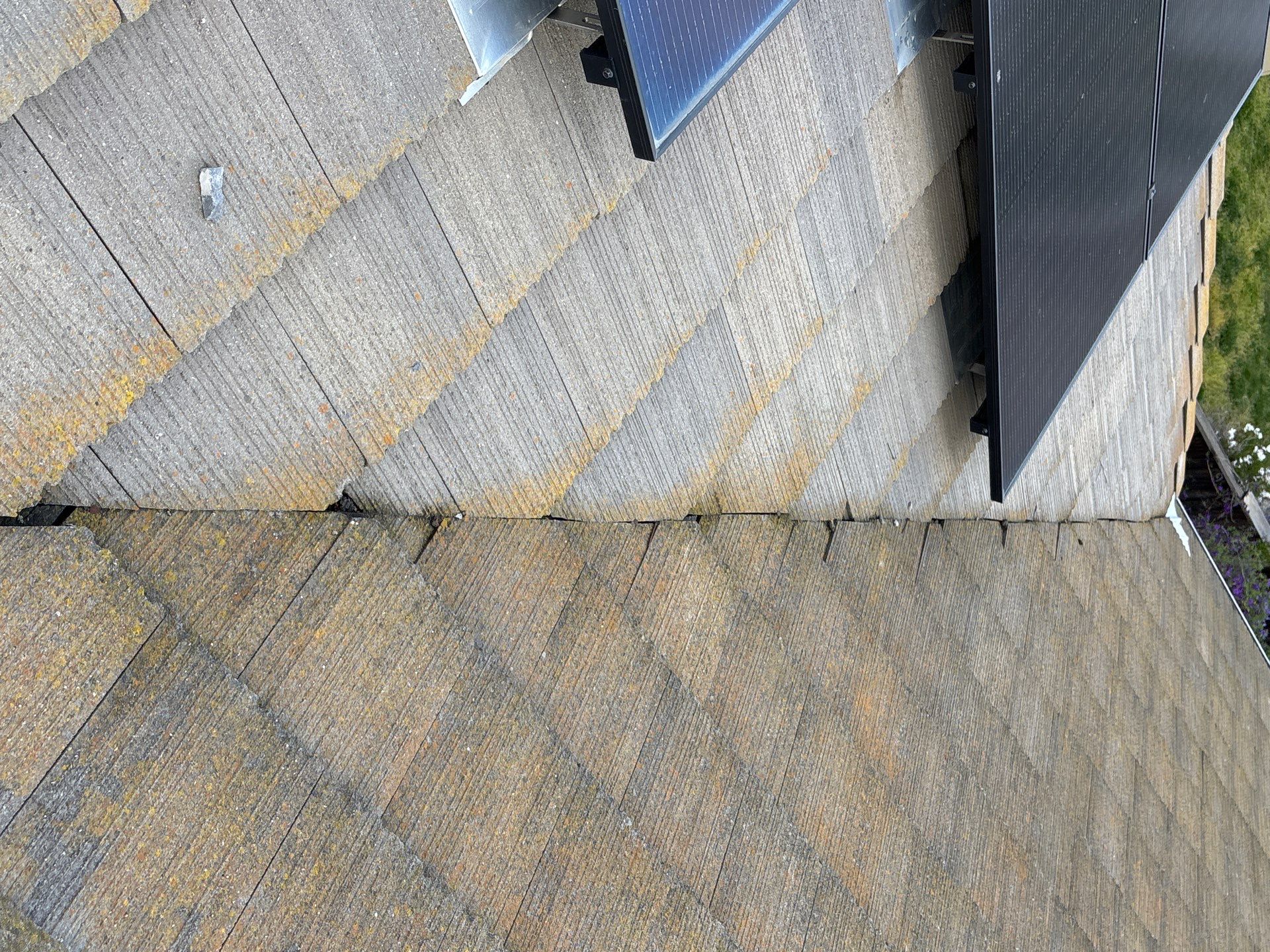 Moss Removal by Top Elevation