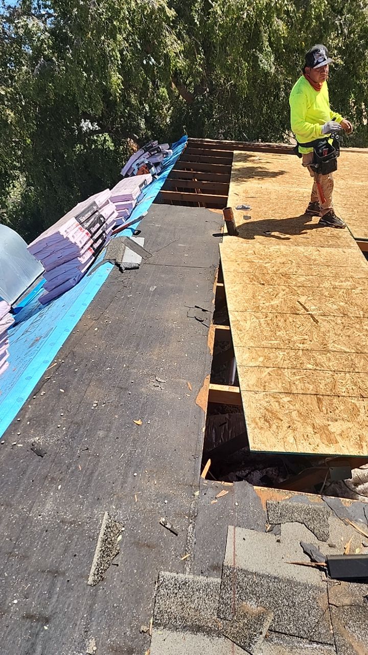 Silver Birch Shingles by Reimagine Roofing