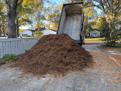 Project in Charlotte