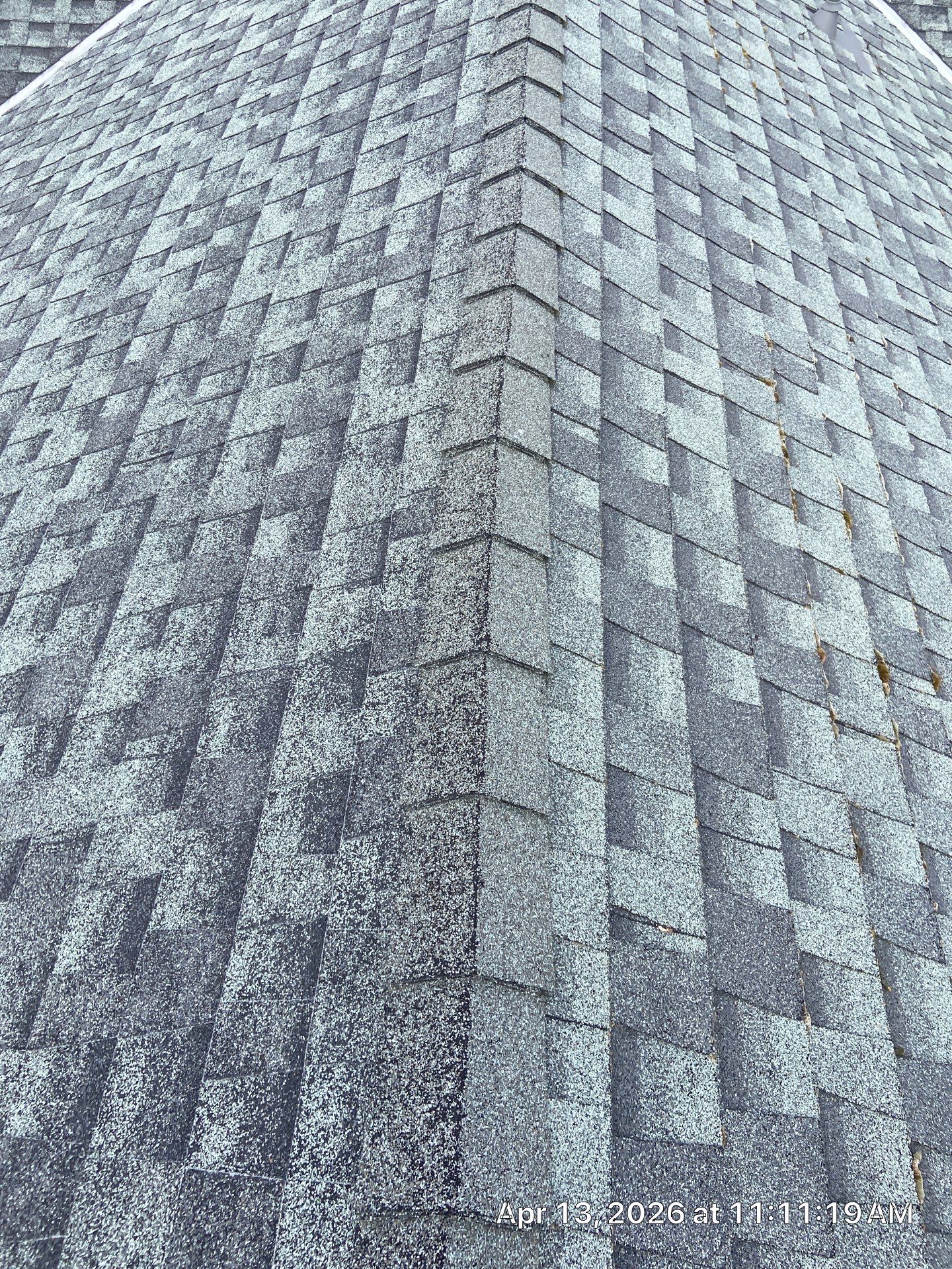 Roof Rejuvenation using Roof Maxx Treatment by Roof Maxx of Folsom