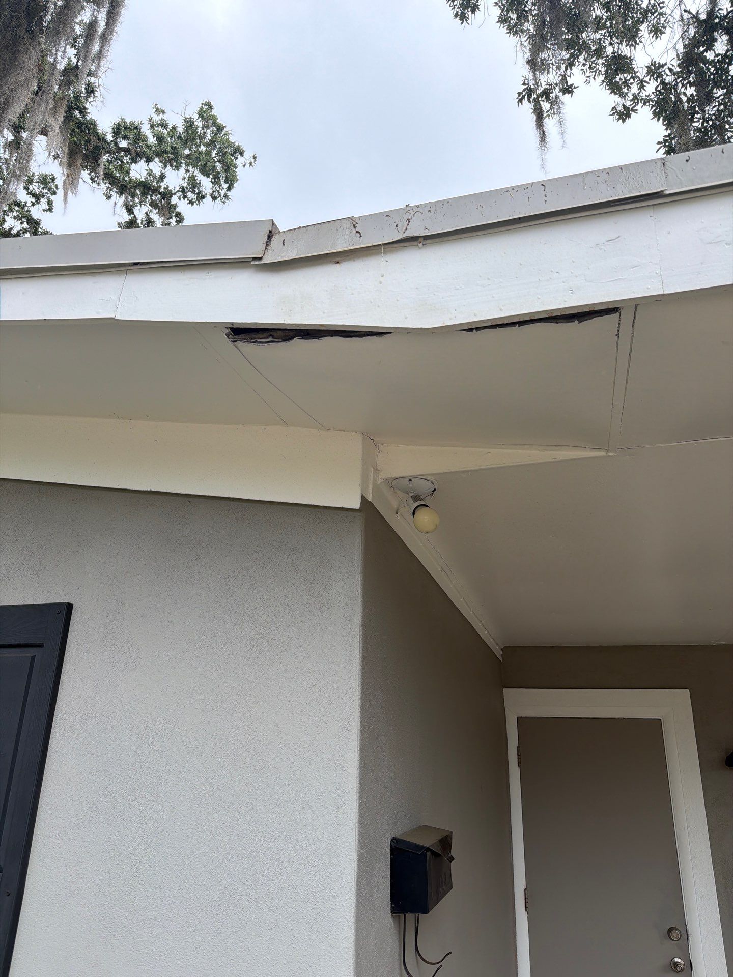 Residential Fortified Roof Replacement and Fascia Repair in Winter Park by Fortified Roofing Solutions Corp.