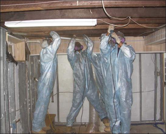 Mold Remediation Projects by A.M. Shield Waterproofing, Corp.