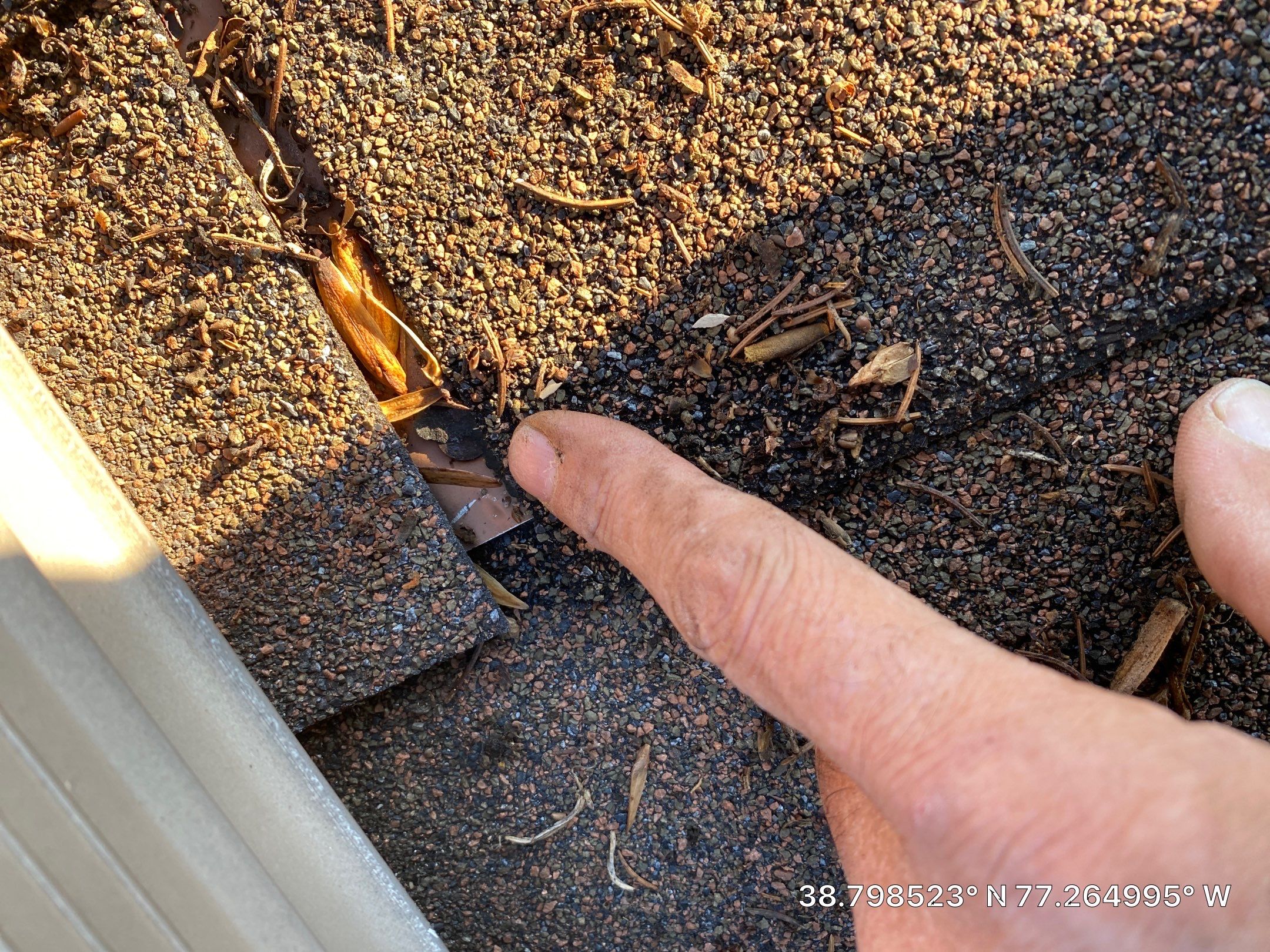 Burke: CertainTeed Landmark Pro Designer Shingles in Max Def Shenandoah by RM Banning, Inc.