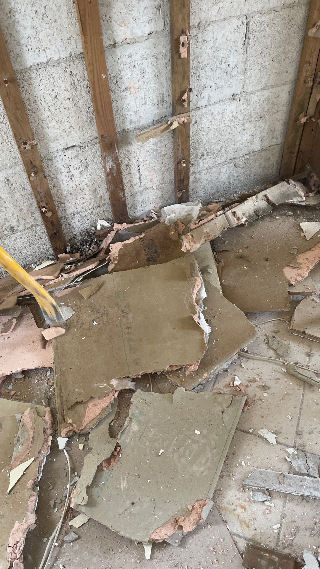 Mold Remediation  by THE RAPID TEAM