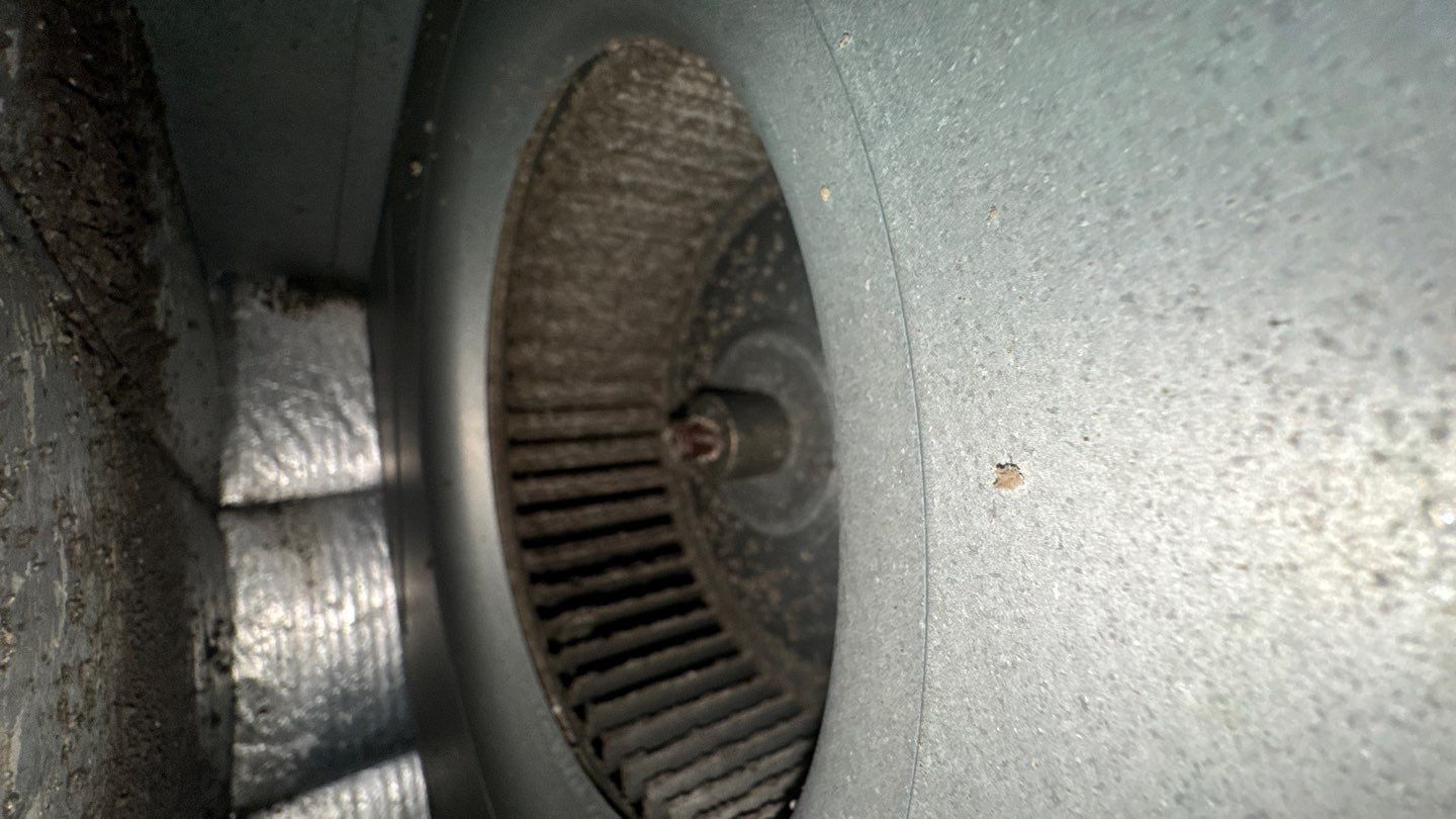Extremely Dirty Air Duct Cleaning in Fruitland Park by Hygienic Air, Inc