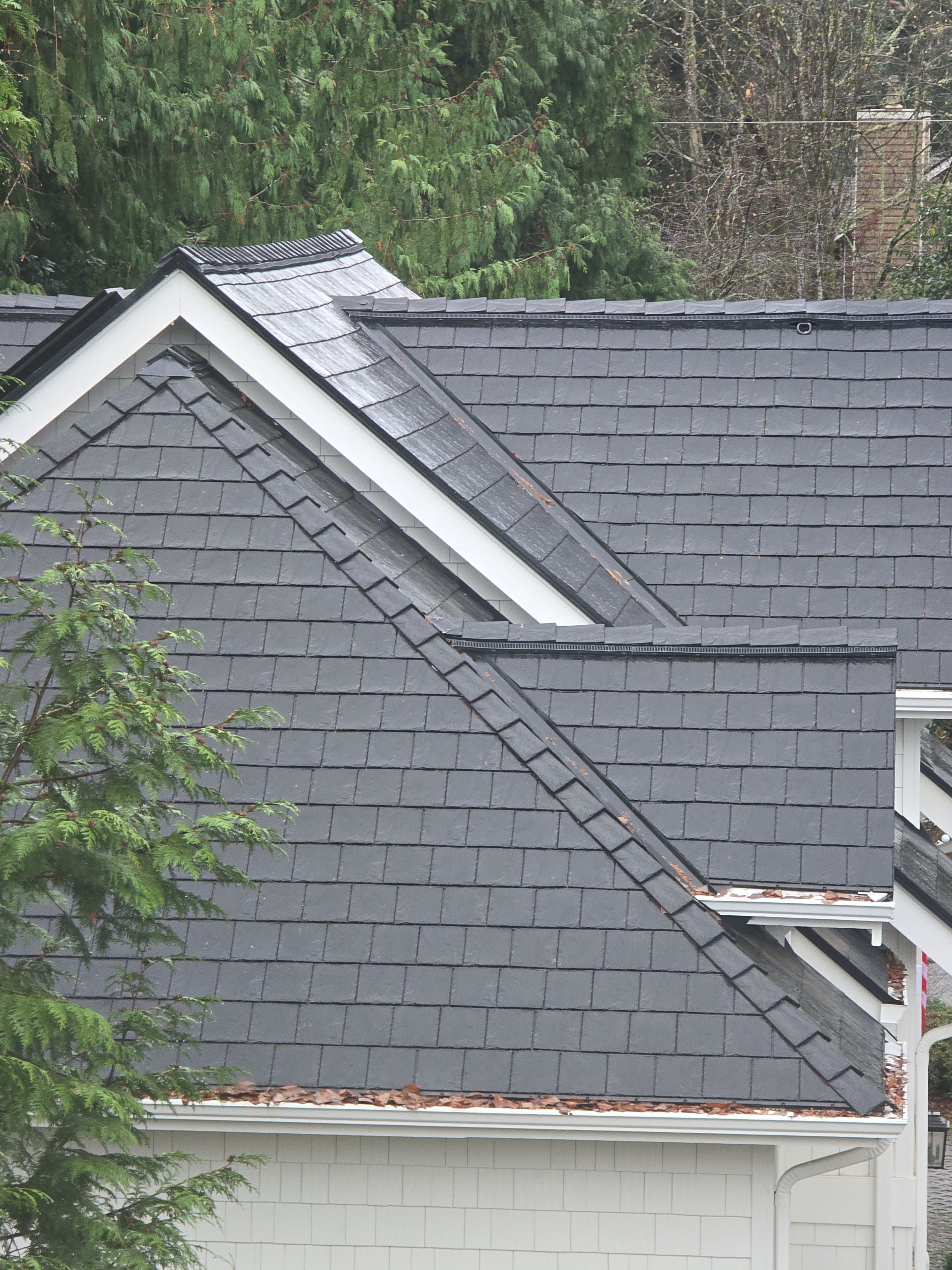 EuroShield in Sammamish by RoofSmart