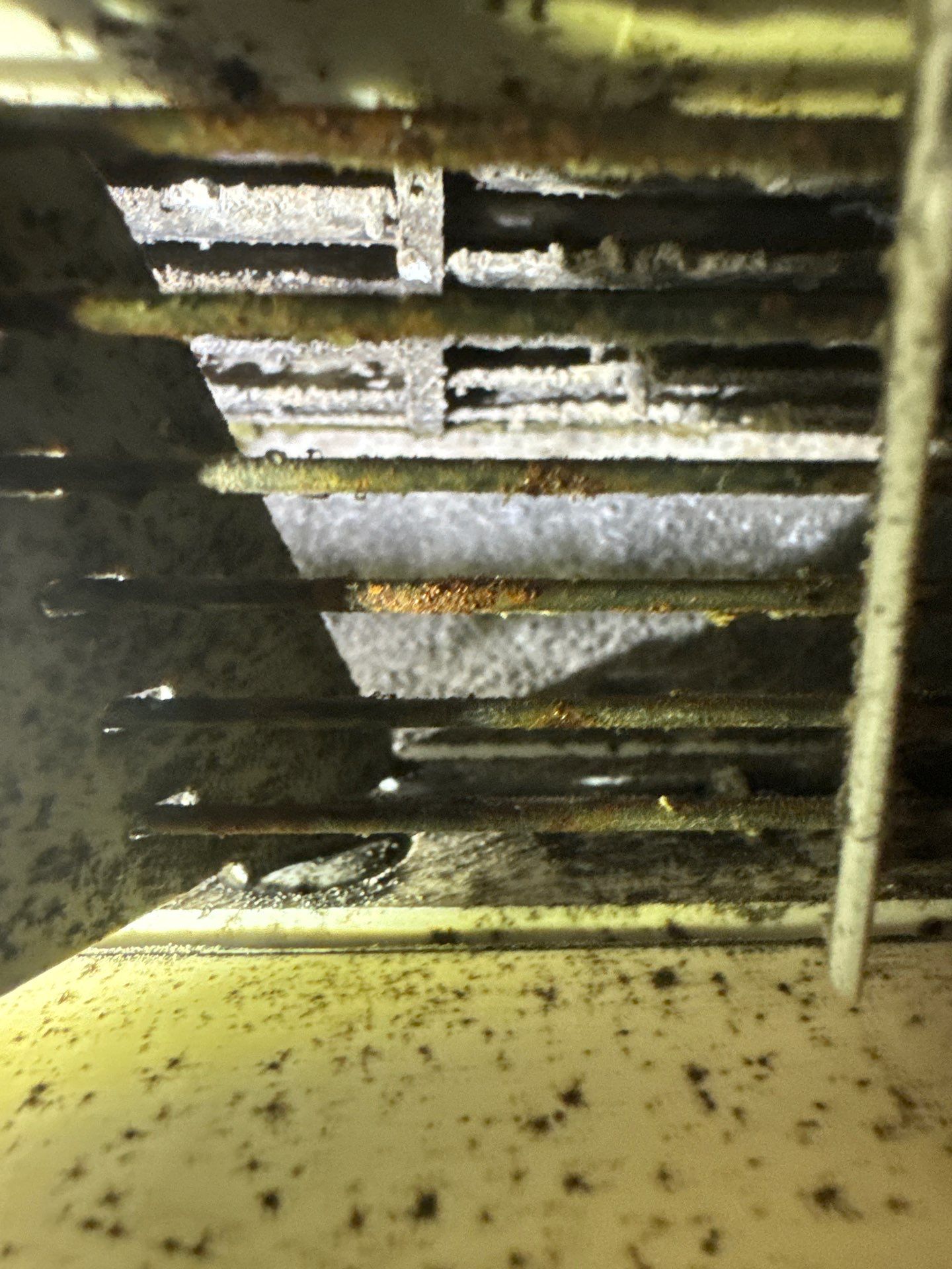 New Paltz, NY — Mini-Split Deep Clean & Biological Growth Removal by Shelter Air