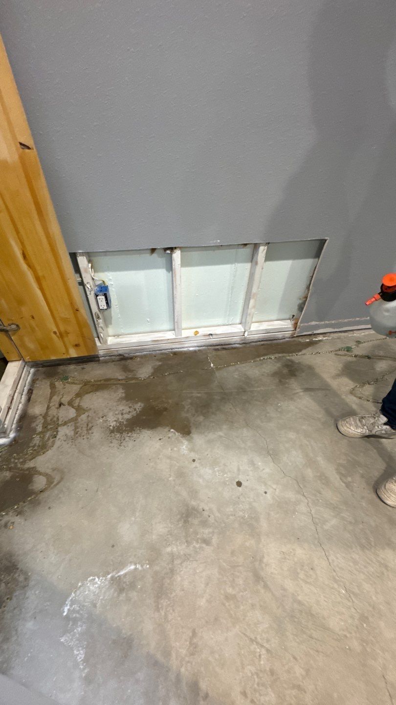 Mold Project in Thornton by Accountable Home Services