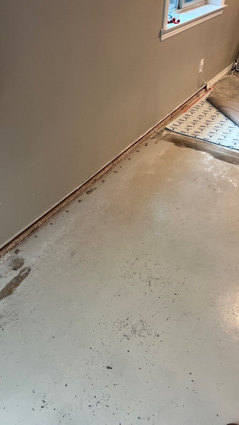 Mold Remediation  by Accountable Home Services