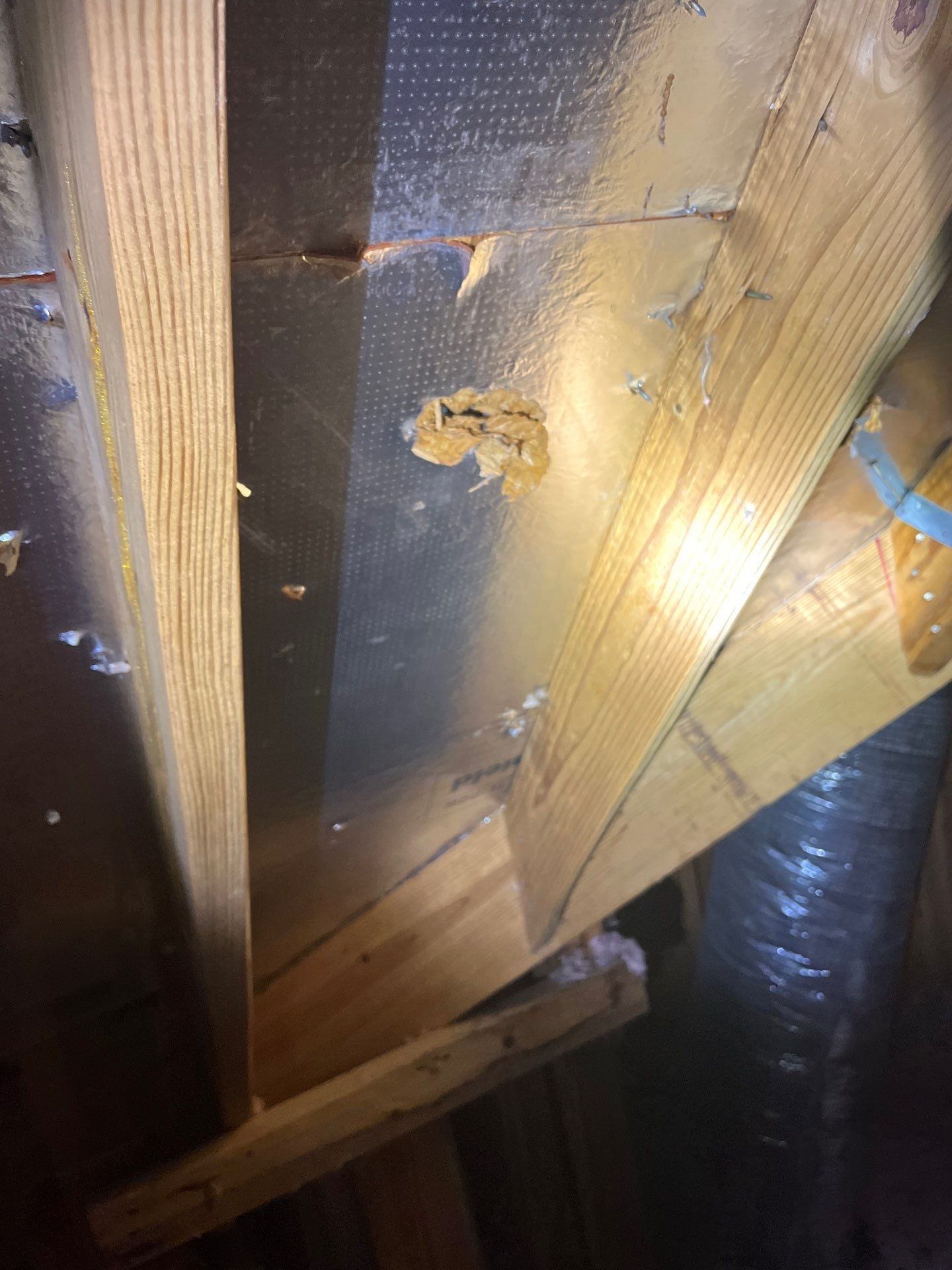 Hail Damage using Owen's Corning Duration (Lifetime) Shingles by Roof Repair Company