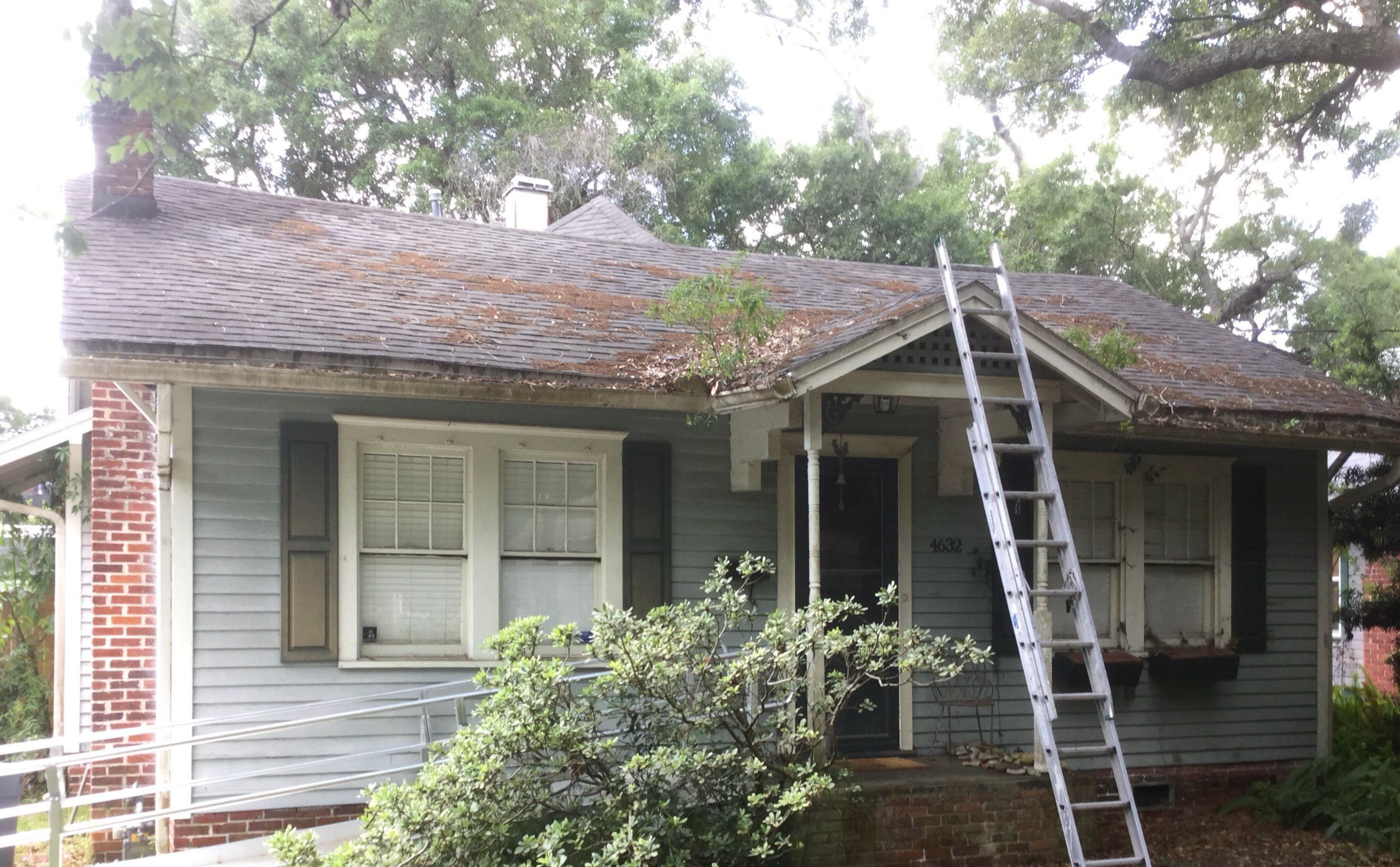 Shingle -> Shingle by Prime Roofing