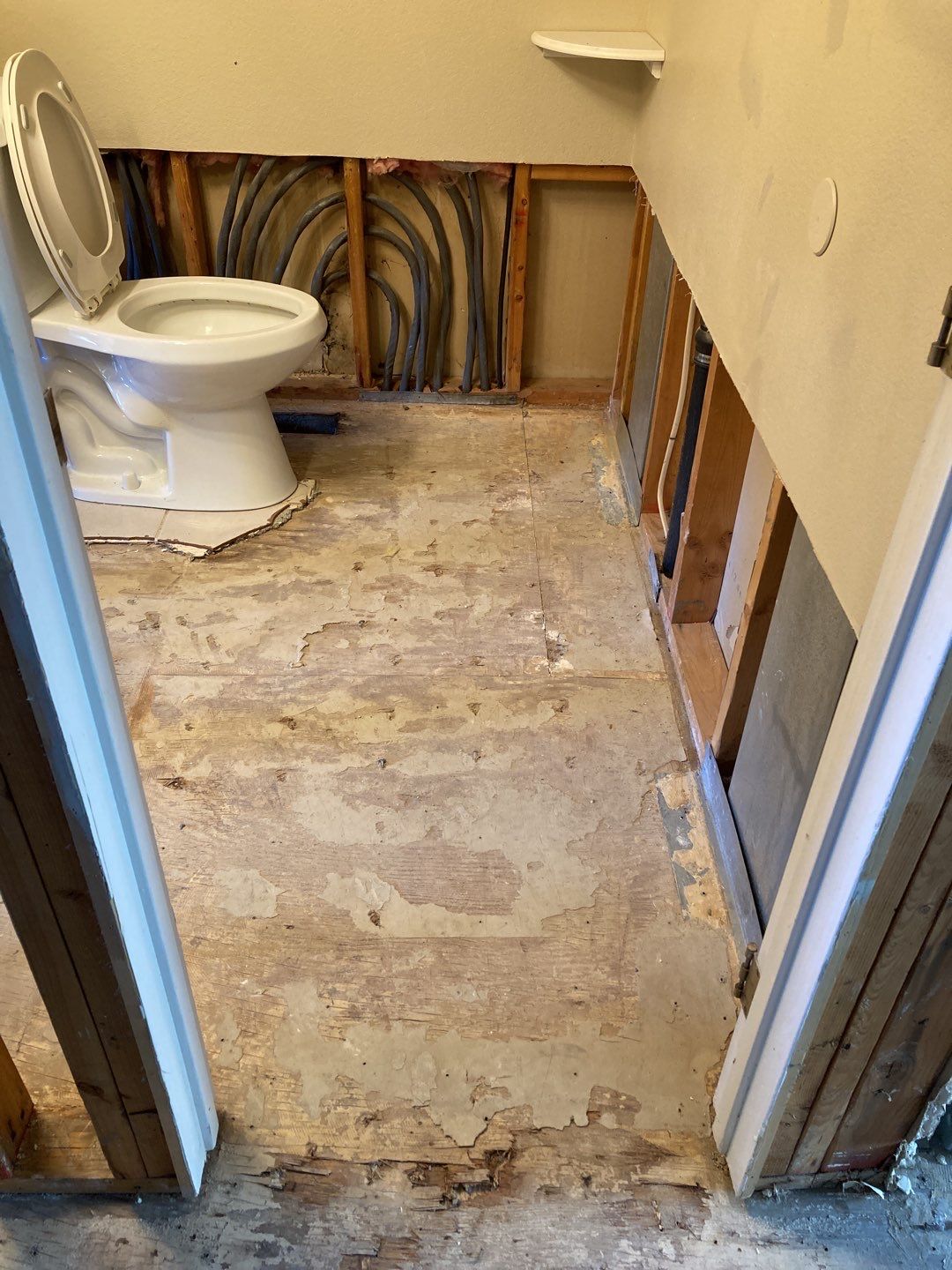 Water Damage  by Accountable Home Services